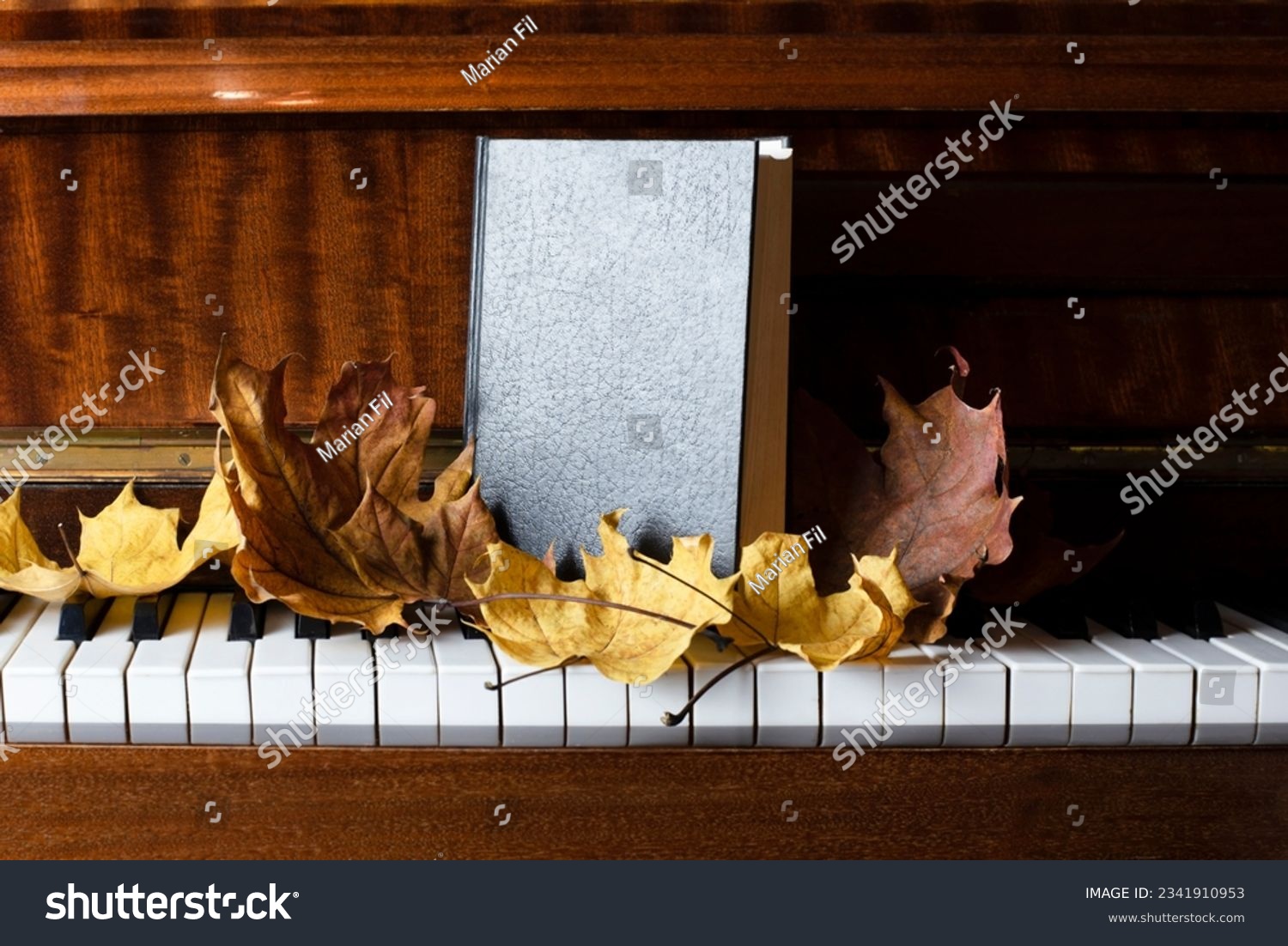 Old classical piano with autumn leaves and a book with a black leather cover, similar to a Bible, the concept of learning, theology #2341910953