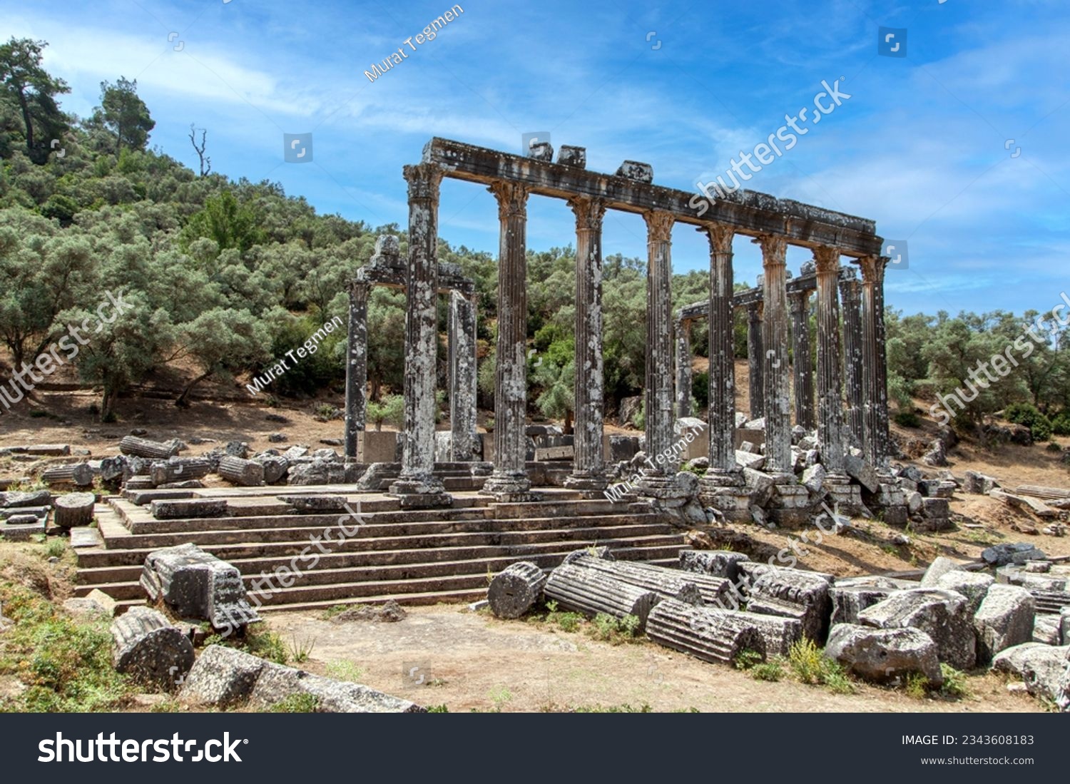 Zeus temple ruins in Euromos city, Milas, Muğla, Turkey. #2343608183