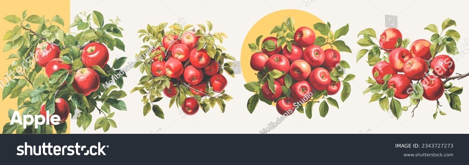 Apples in leaves. A set of vector illustrations. Vectorized gouache illustrations. Collection of isolates for labels, prints, banners. #2343727273