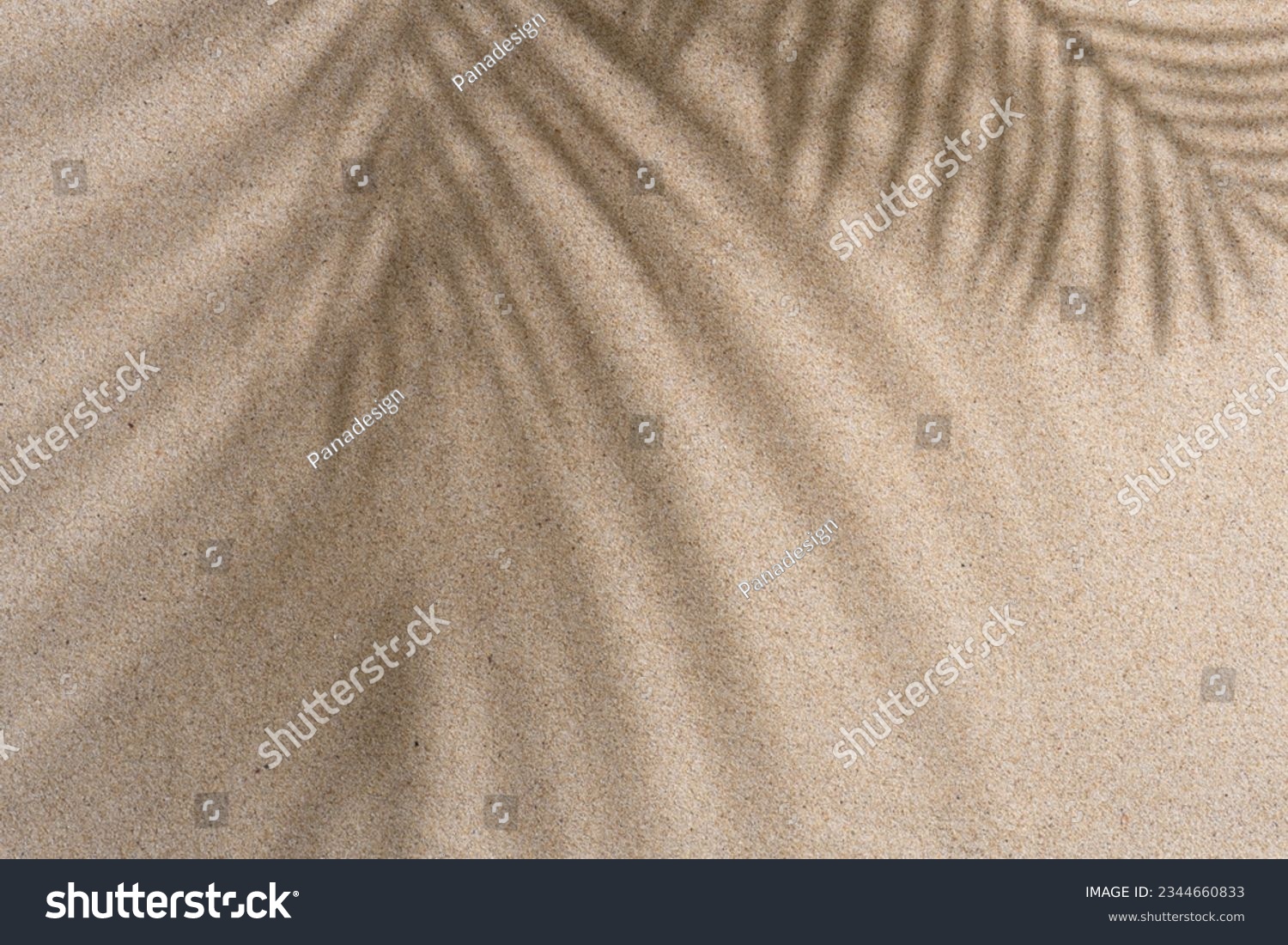 Aesthetic Palm Leaf on Shadow on Sand Background Texture, Copy Space, Minimal Summer Concept #2344660833