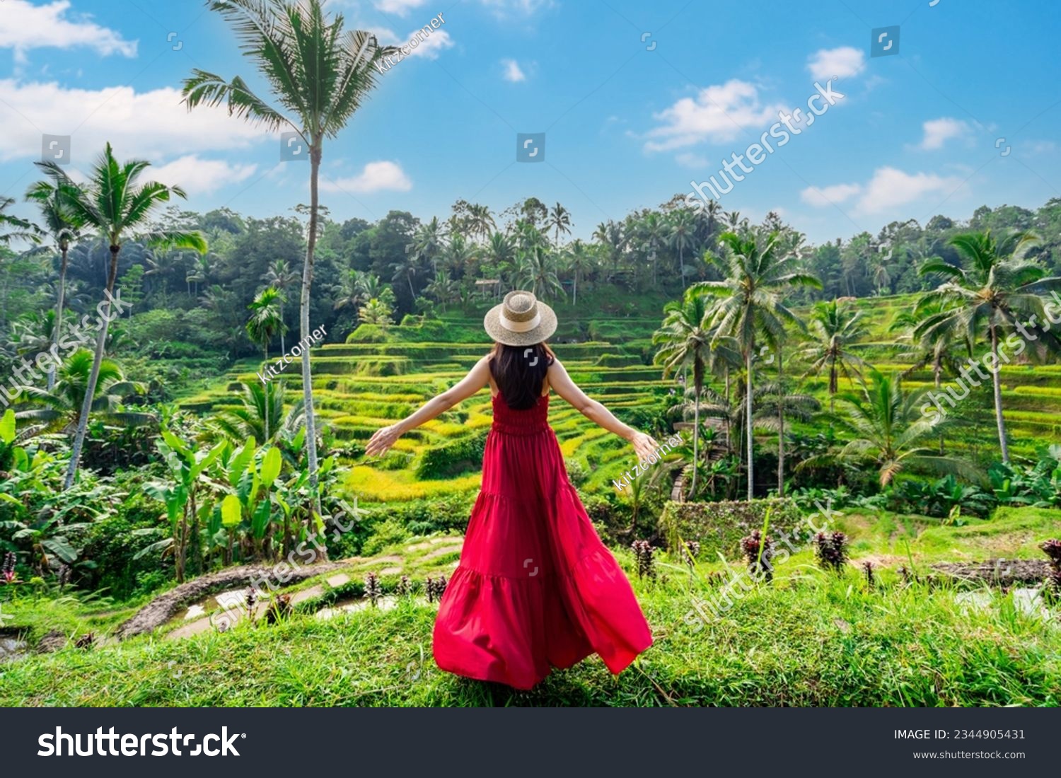 Young female tourist in red dress looking at the beautiful tegalalang rice terrace in Bali, Indonesia #2344905431