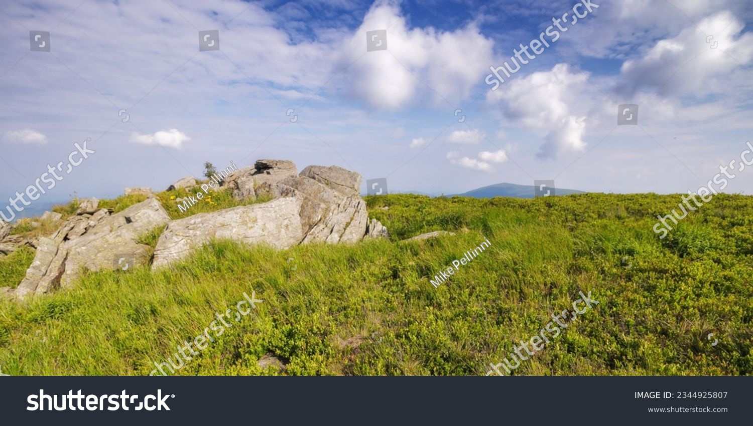 wonderful summer landscape in mountains. grassy meadows and rolling hills. boulders and stones on the hillside. picturesque scene in morning light. ukrainian carpathians countryside scenery #2344925807