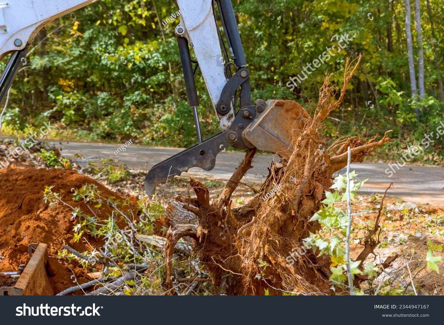 Land clearing for housing complex skid steer tractor removes roots efficiently #2344947167