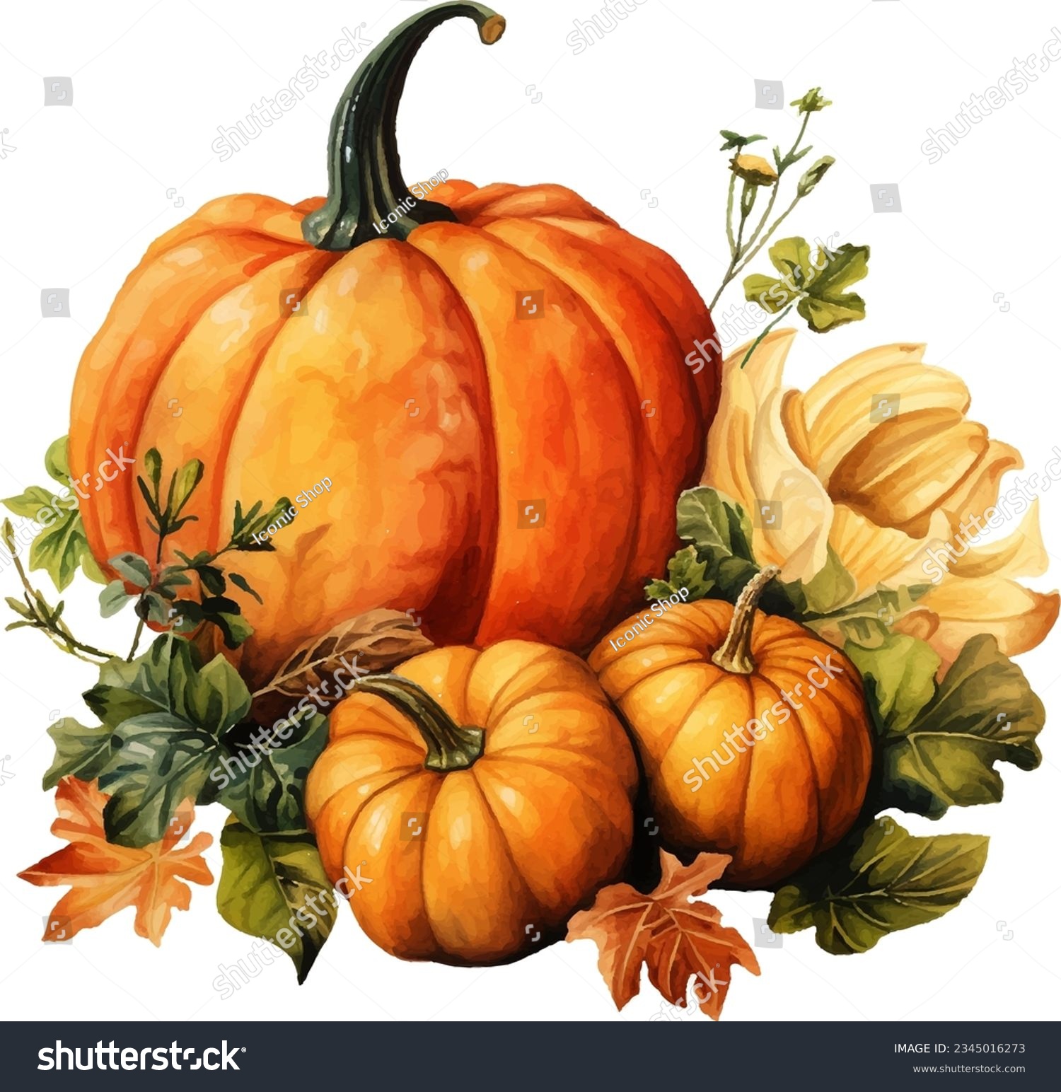 Watercolor painting autumn pumpkin still life for celebration design. Autumn harvest. Vegetarian raw food. #2345016273