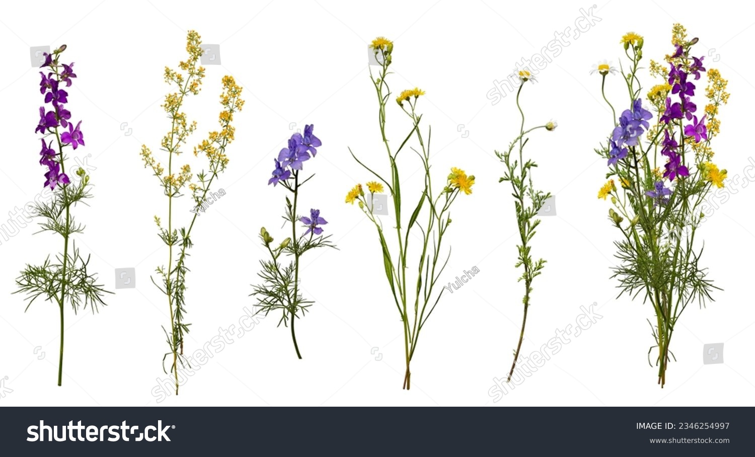 Meadow wildflowers and an example of a bouquet of these flowers. Botanical collection, summer composition. Set of elements for creating collage or design, postcards, invitations #2346254997