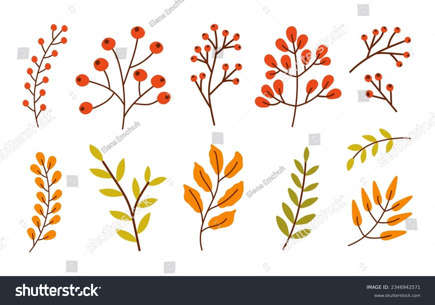 Colorful set of different branches with leaves, red berries isolated on a white background. Vector illustration #2346942571
