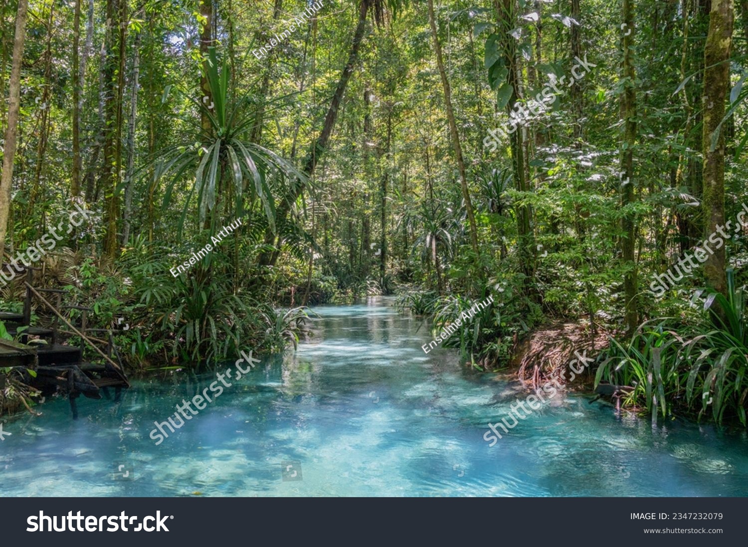 The Kali Biru or Blue River on Waigeo island, Raja Ampat, West papua, Indonesia #2347232079