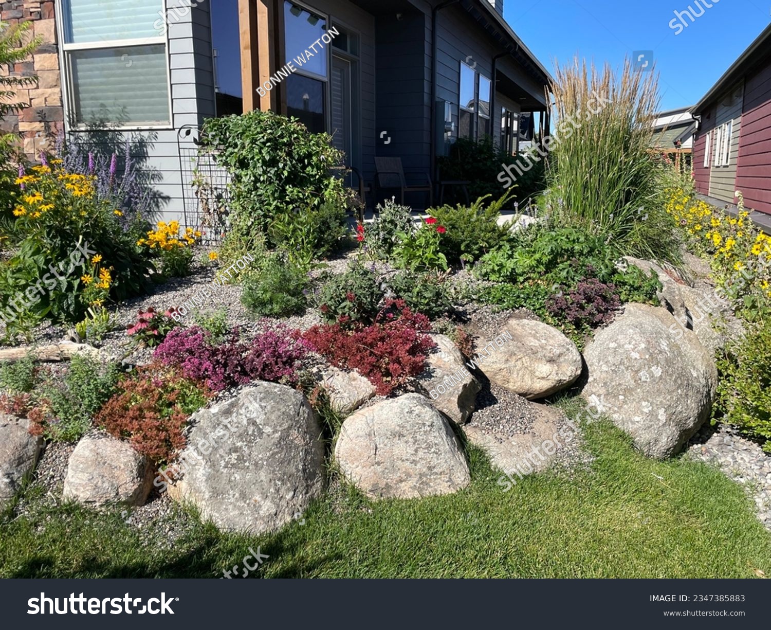 Incredible dry laid, stacked boulder, wall at a private residence.  Landscaping added above the wall and in pockets of the wall.  Best boulder wall I've seen my 30 years in the landscaping business. #2347385883