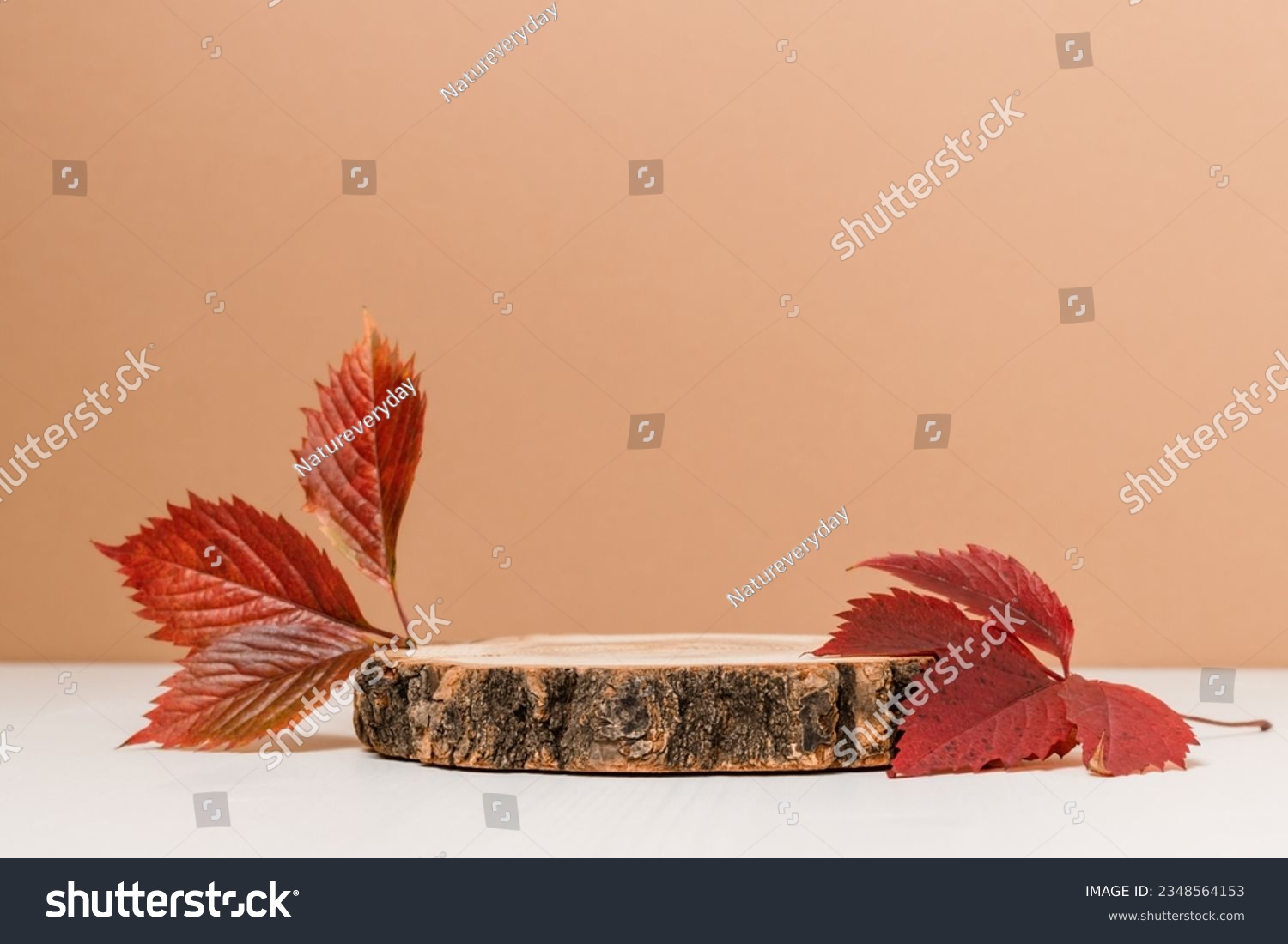 Empty wooden product podium with autumn leaves on brown and white background. Podium for design, cosmetic and product, presentation, fall concept #2348564153