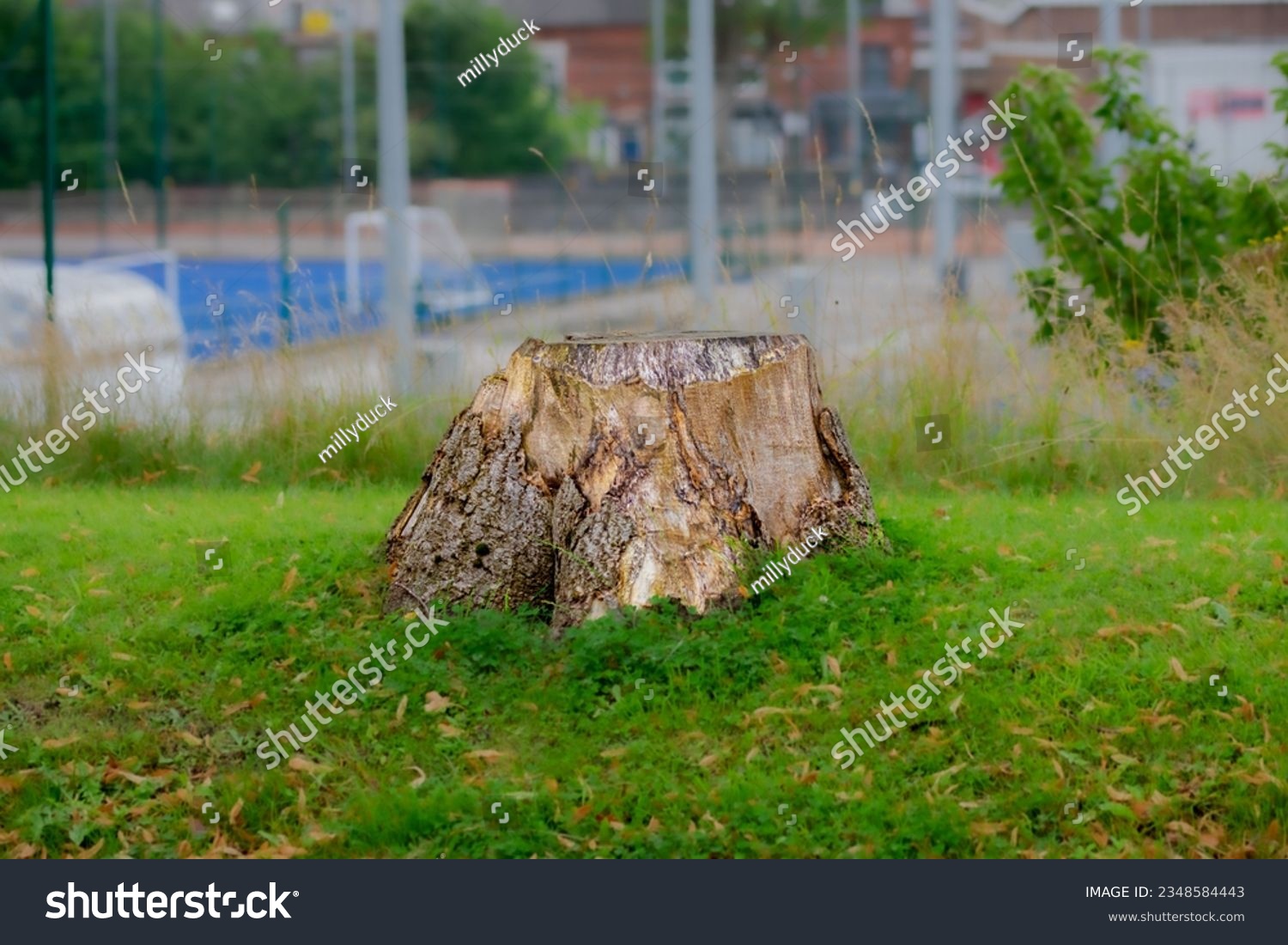 Wooden tree stump against industrial background #2348584443