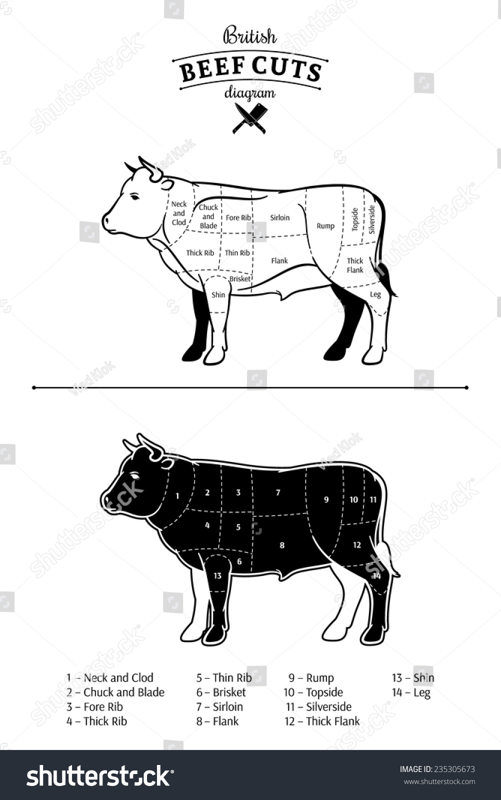 British Beef Cuts Diagram Royalty Free Stock Vector 235305673