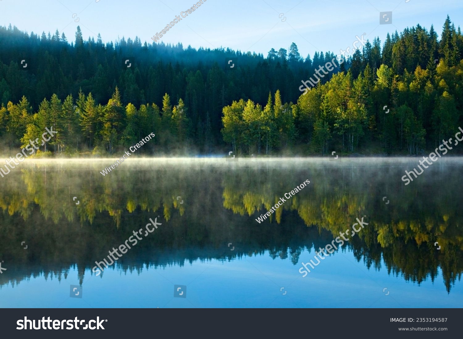 A peaceful lake nestled in a vibrant green forest enveloped in a misty fog, creating an idyllic atmosphere #2353194587