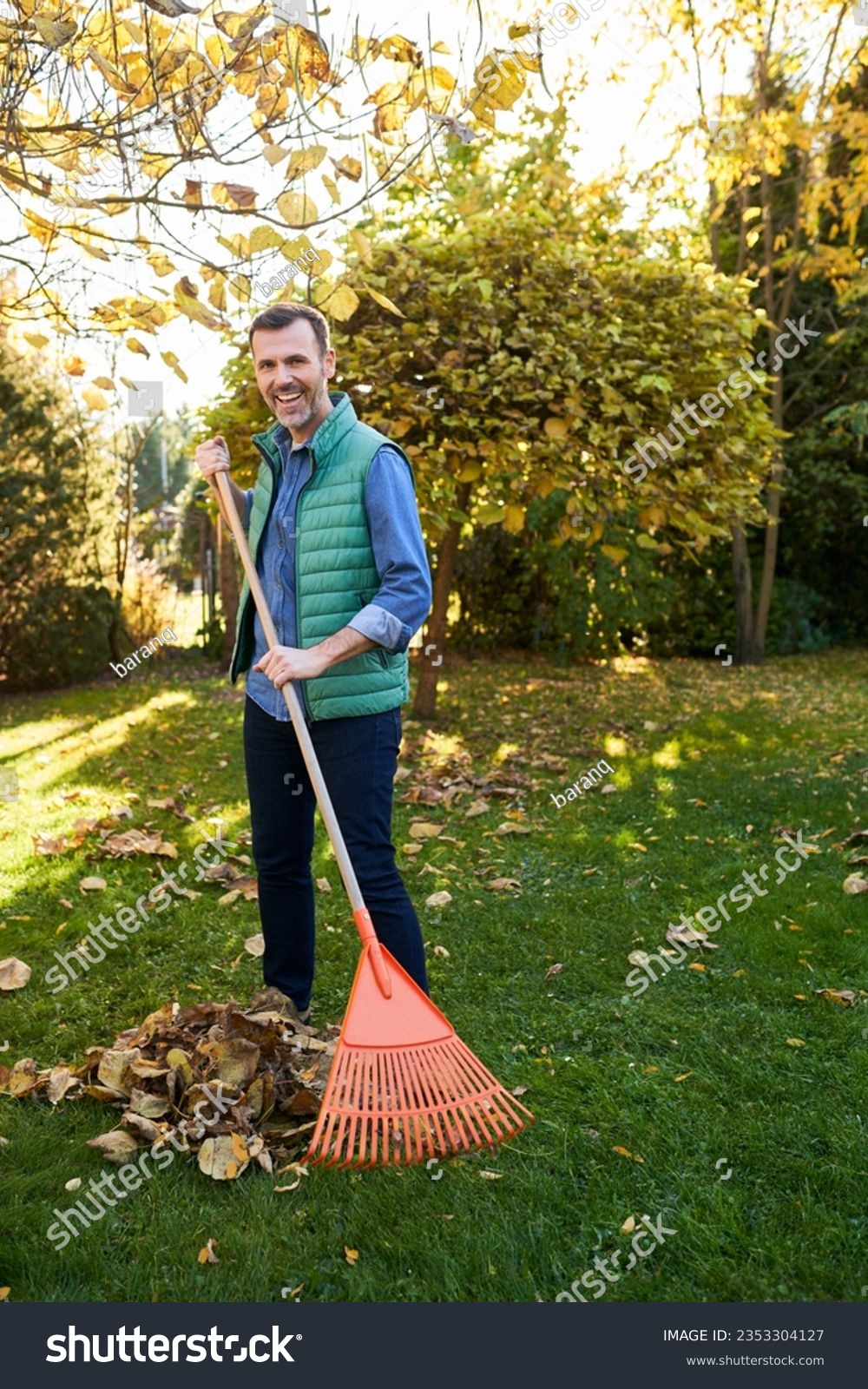 Man raking leaves in garden smiling at camera during fall autumn backyard cleanup #2353304127