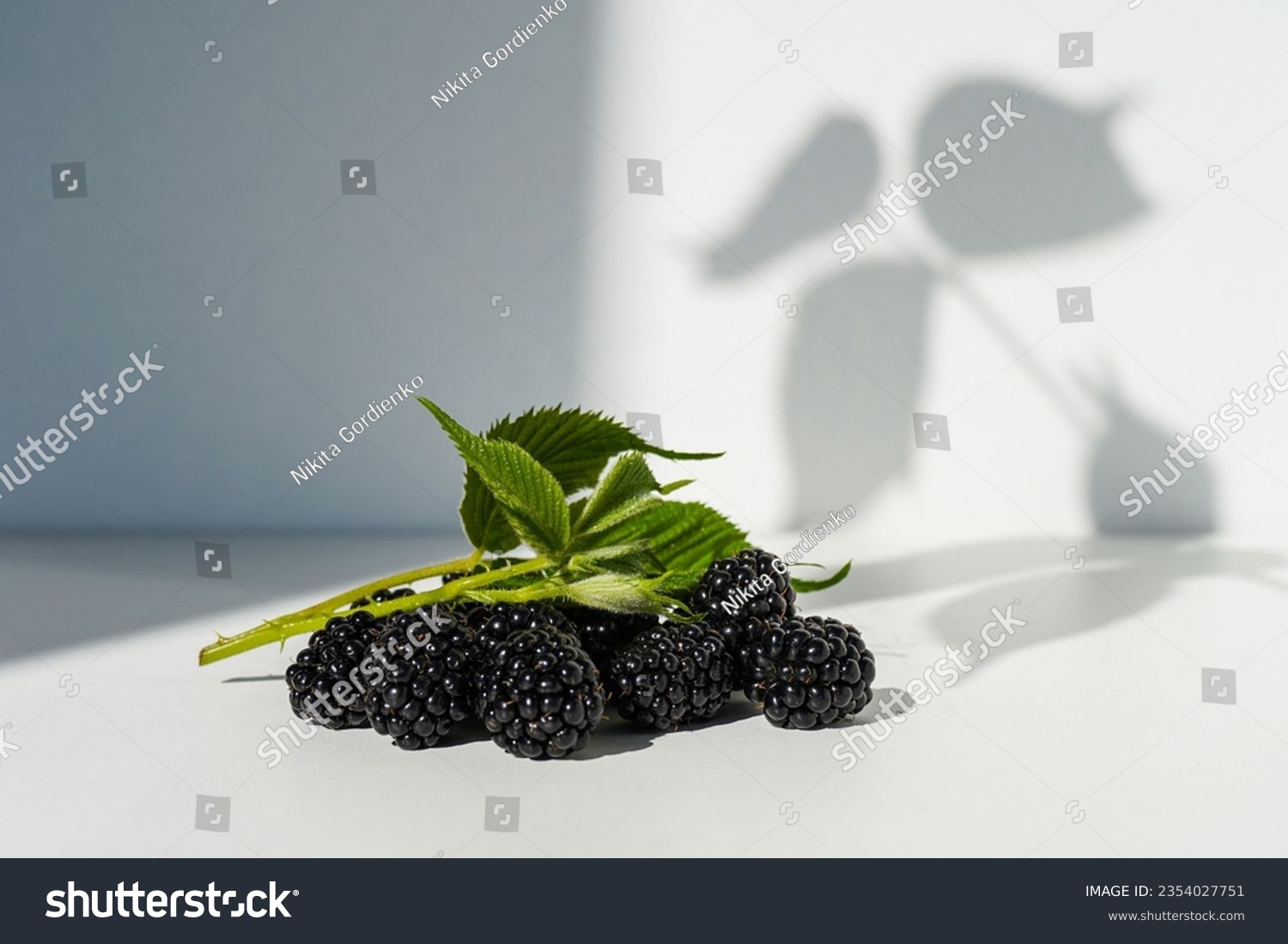 A bunch of ripe blackberries with leaves. Blackberries in a pile on a white background. Blackberries With White Leaves. Selective focus. #2354027751