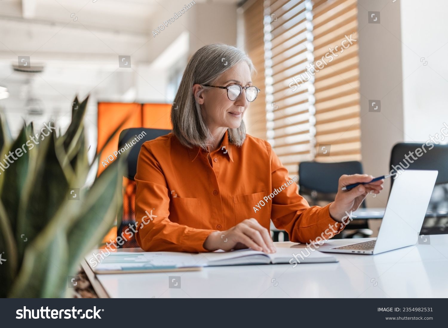 Portrait of beautiful confident senior woman, manager using laptop computer working online sitting in modern office. Business woman wearing stylish eyeglasses checking email. Technology concept  #2354982531