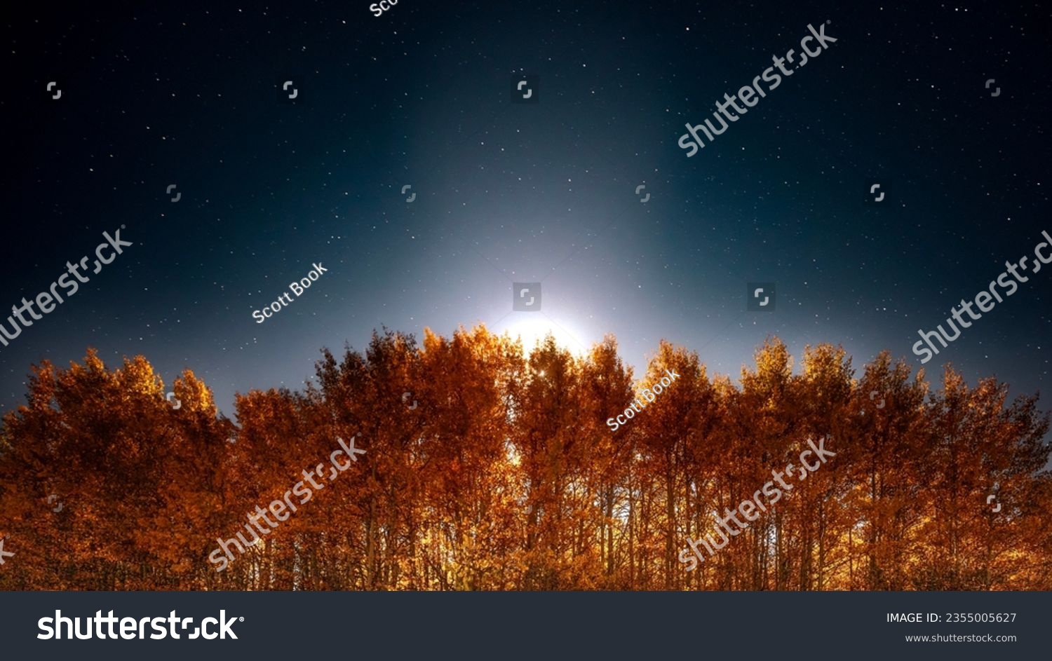 Landscape scene of the moon shining behind a grove of aspen trees at night during the Fall when the leaves are changing. The night sky is full of stars.  #2355005627