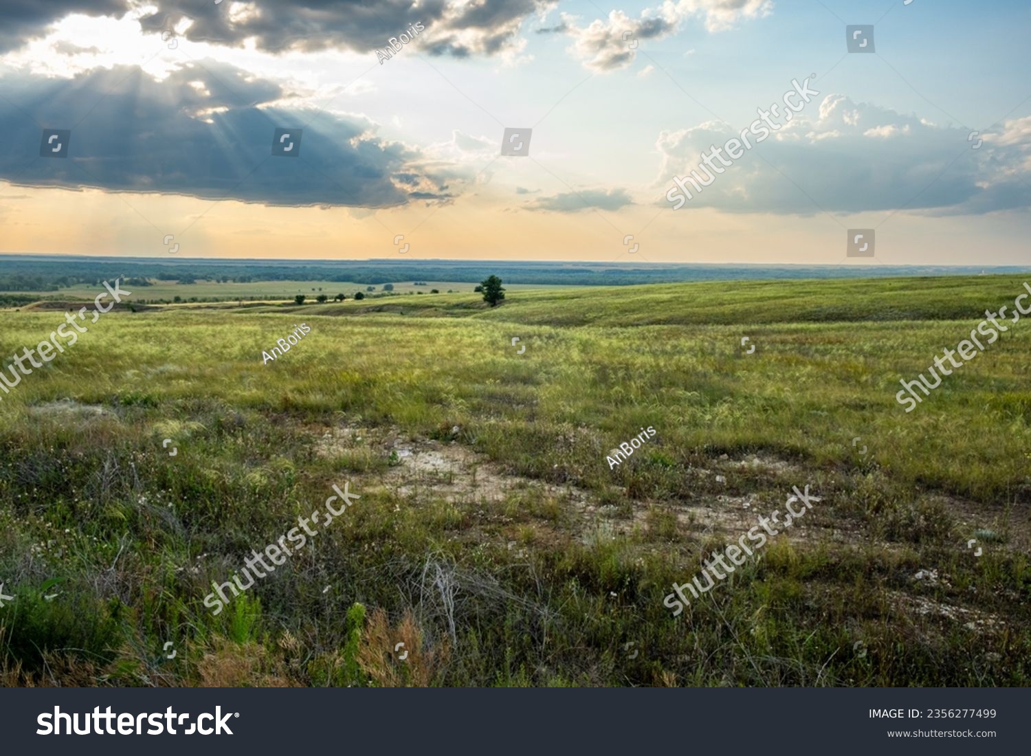 Landscape, evening, beautiful sky before sunset, steppe and ravines, trees on the horizon, bank of the Don River, Volgograd region, Russia.
 #2356277499
