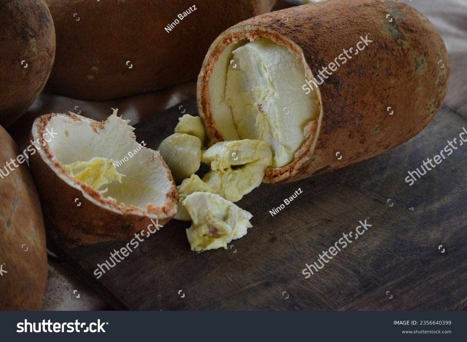 Pulp of fresh cupuaçu fruit coming out of the open fruit on the wooden board. Cupuacu fruit (Theobroma grandiflorum), malvaceae family, pulp and seeds of a tropical cupuacu fruit, Amazon, Brazil #2356640399