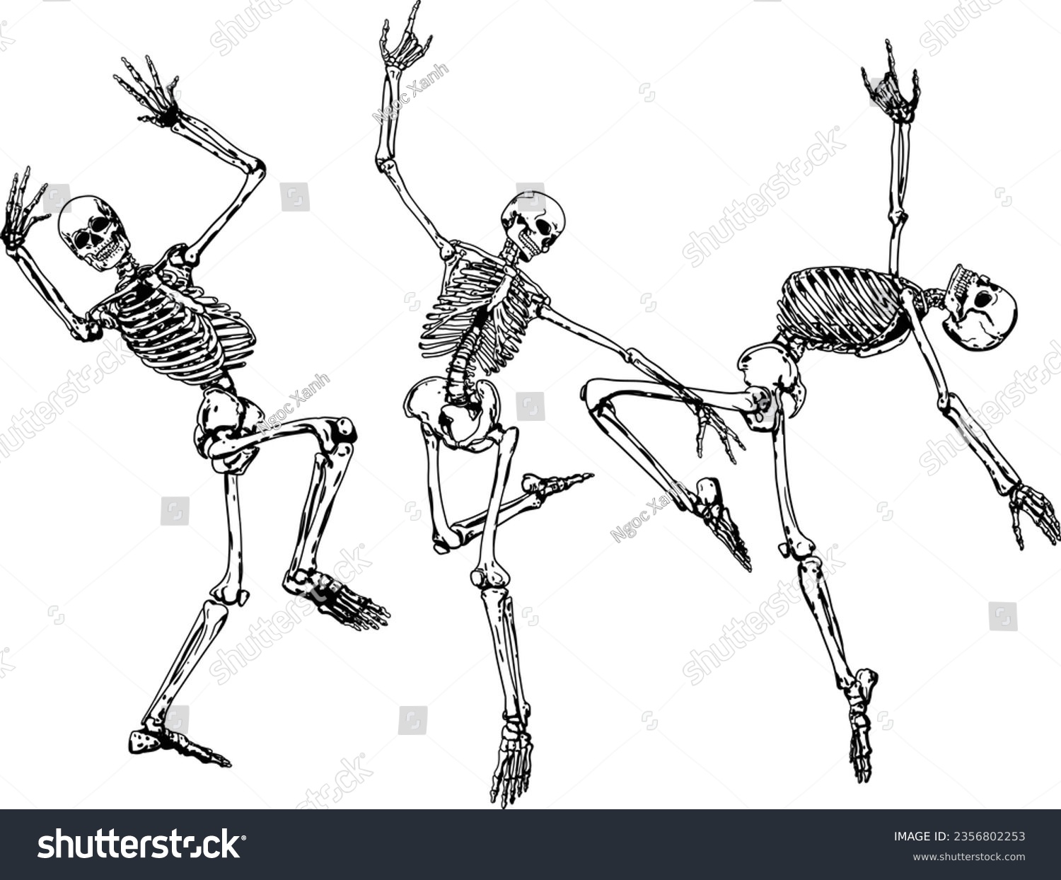 Skeleton Dancing Set Skull Art Funny Skeleton Royalty Free Stock