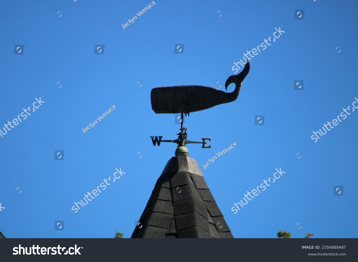 A weathervane in the shape of a whale. #2356888487