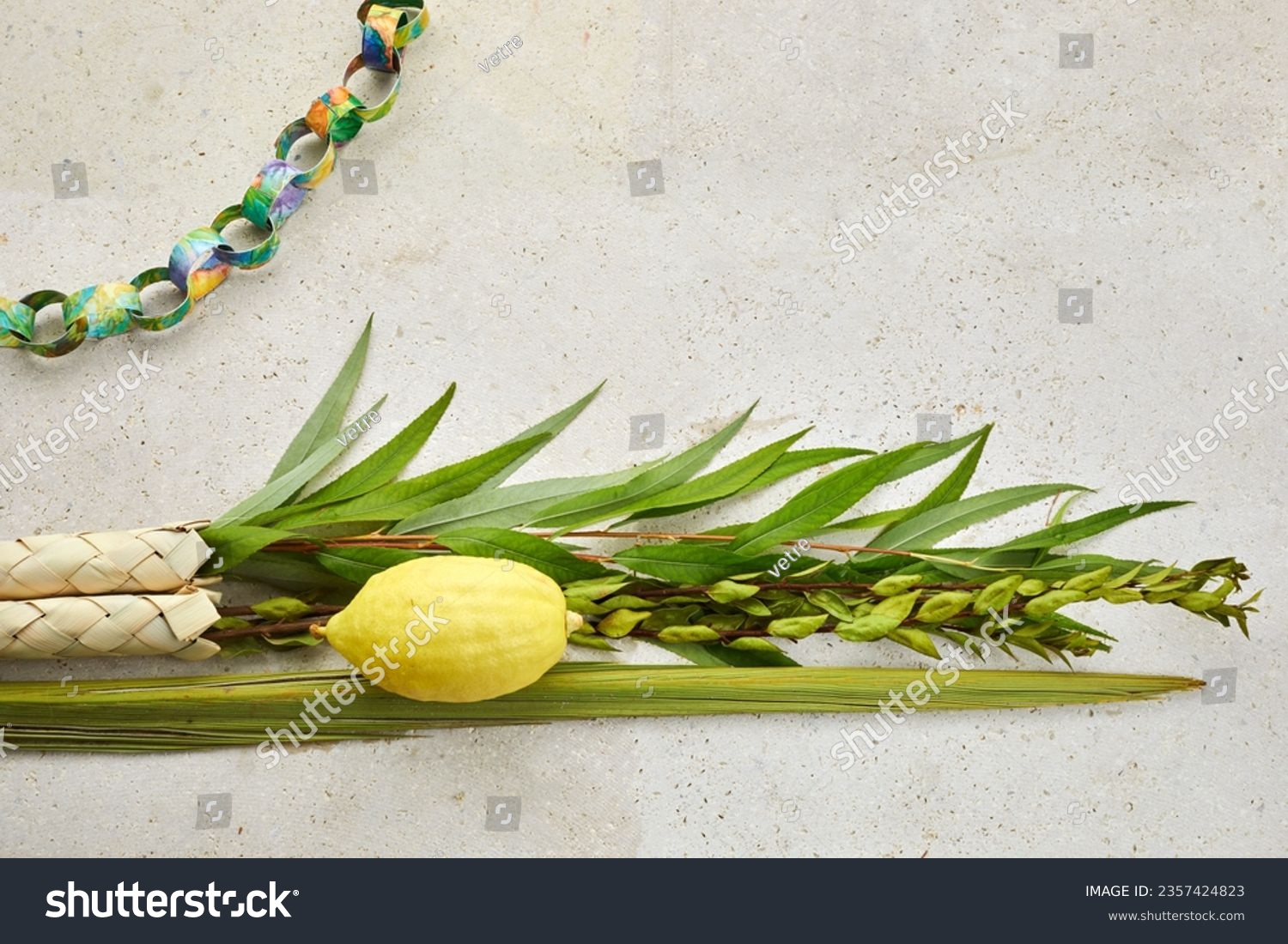 Jewish festival of Sukkot. Sukkot traditional symbols. Four species etrog, lulav, willow and myrtle. #2357424823