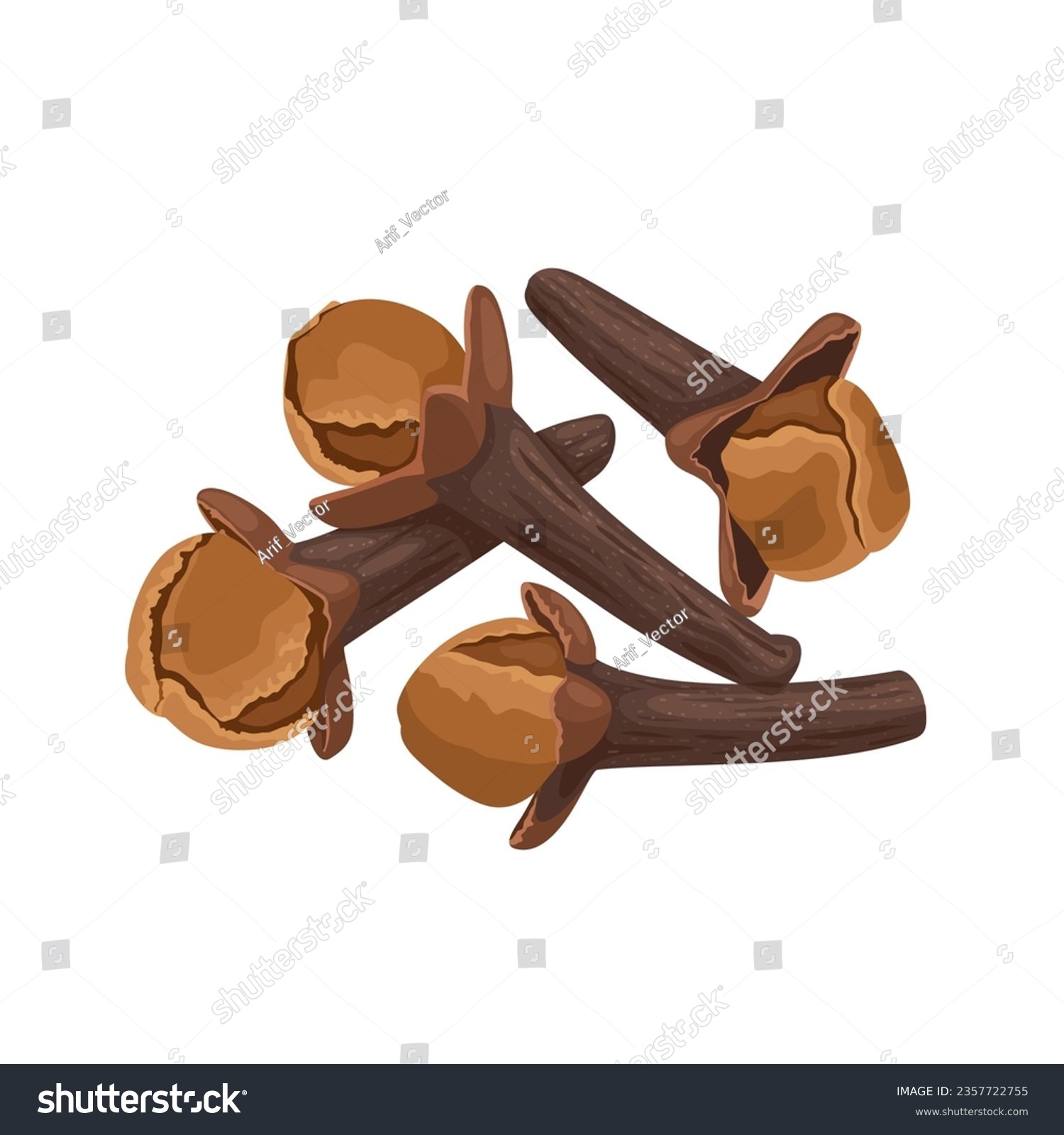 Vector illustration, dried cloves, spice from the flower bud of Syzygium aromaticum, isolated on white background. #2357722755