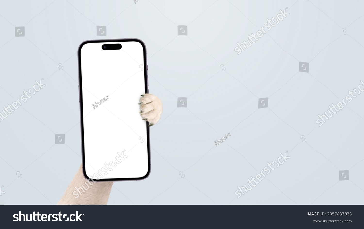 Dog paw holding smartphone mock up on isolated background. Smartphone, creative idea. Funny animal shows the phone #2357887833