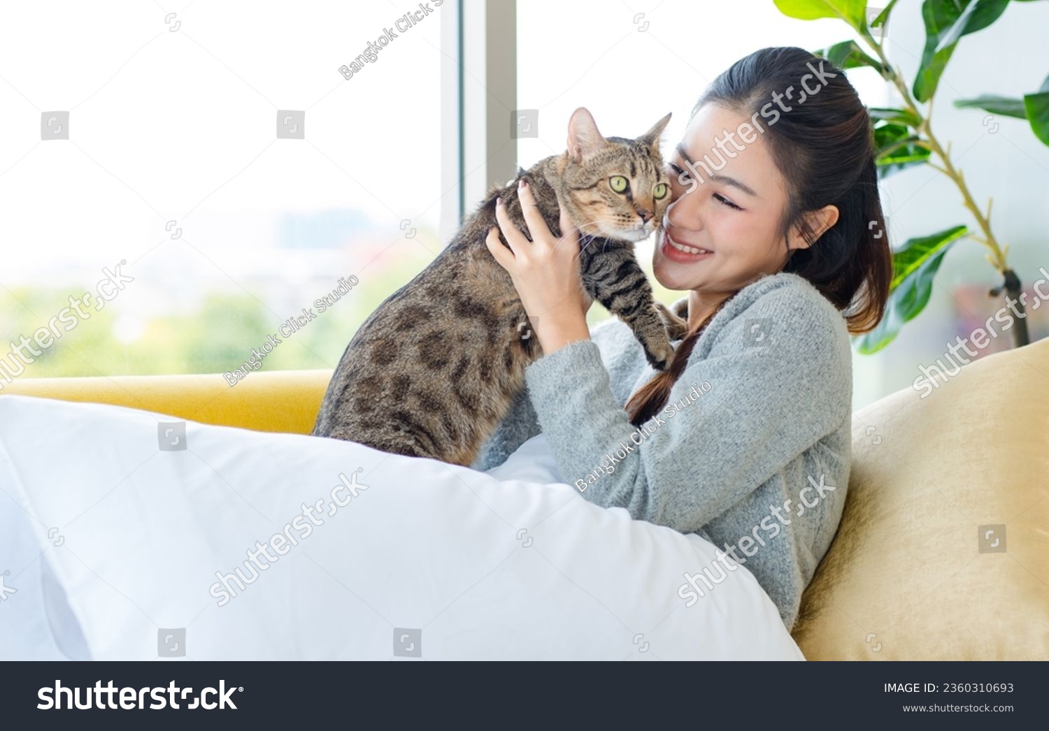 Asian young pretty cheerful female girl in sweater laying lying down with pillows on cozy sofa couch smiling look at camera holding little cute domestic short hair tabby companion pet cat. #2360310693