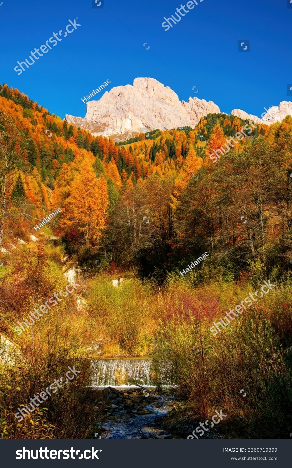 Incredible view of yellow trees illuminated by the rising sun. Colorful autumn morning in Dolomite Alps, Val Gardena location, Italy. Beauty of nature concept background. #2360719399