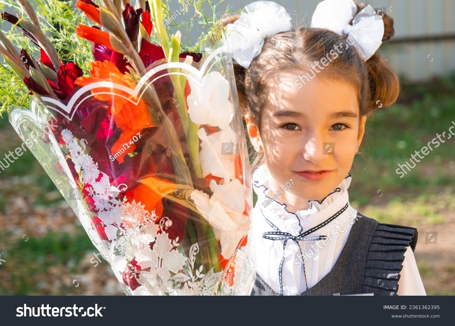 Portrait of a girl student of the 1st grade school with white bows and flowers in a dress unifor. Back to school, September 1, First - grade. Primary education, elementary class.  #2361362395