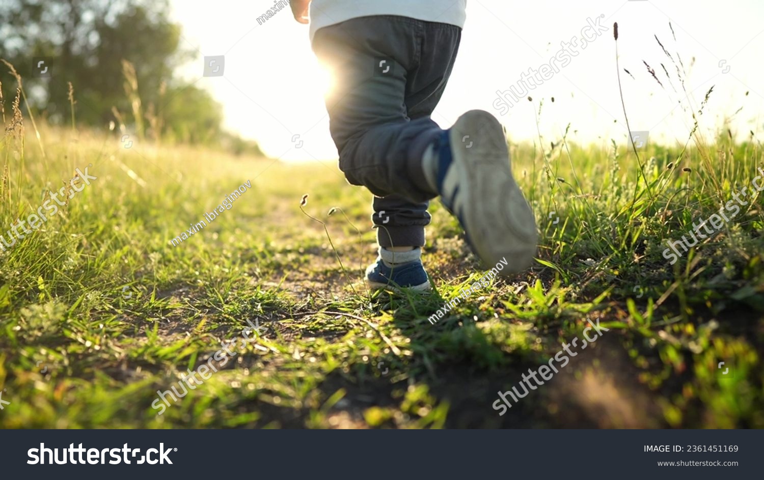 kid run legs close-up in park at sunset. happy family. people in the park concept boy son joyful run. happy family summer. little baby run child fun summer kid lifestyle dream concept #2361451169