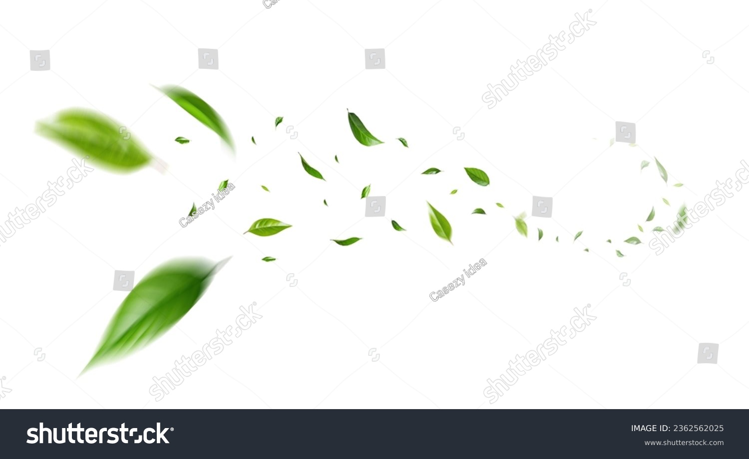 Flying green leaves on white background. Fresh spring foliage. Environment and ecology backdrop #2362562025