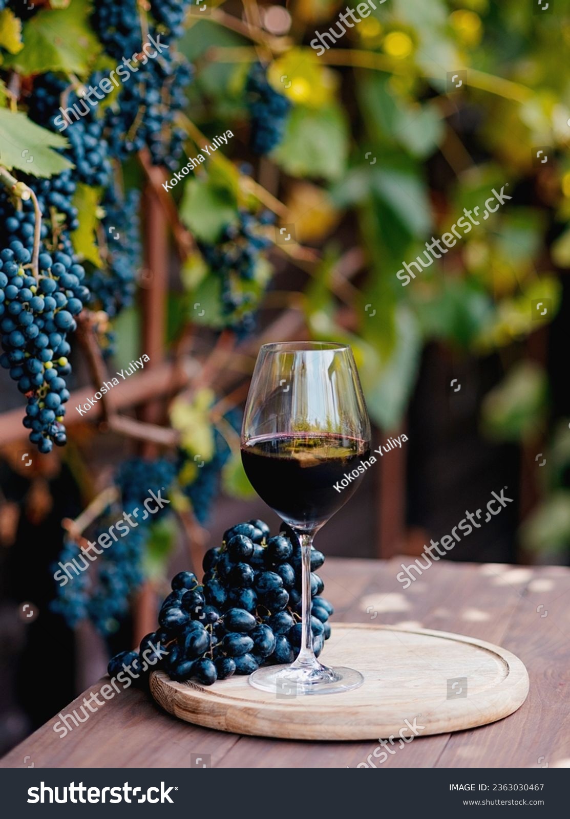 glass with red wine on a wooden barrel in the vineyard. #2363030467