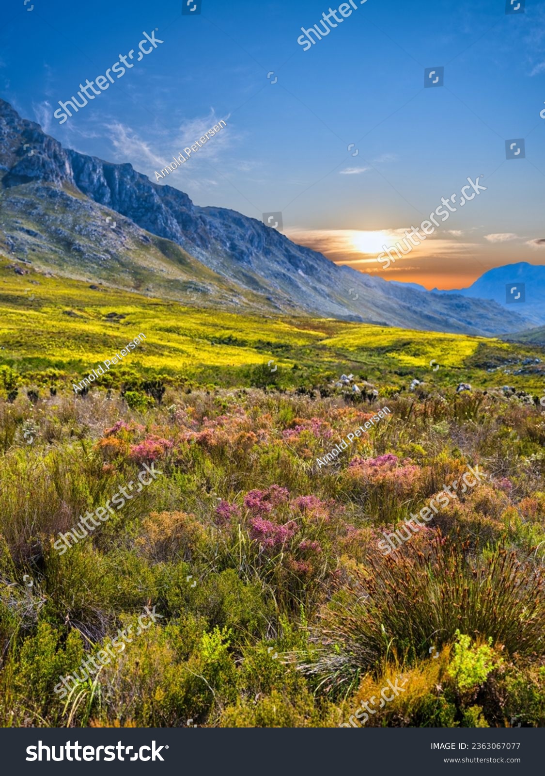 Vertical shot of Kogelberg Nature Reserve valley - Royalty Free Stock ...