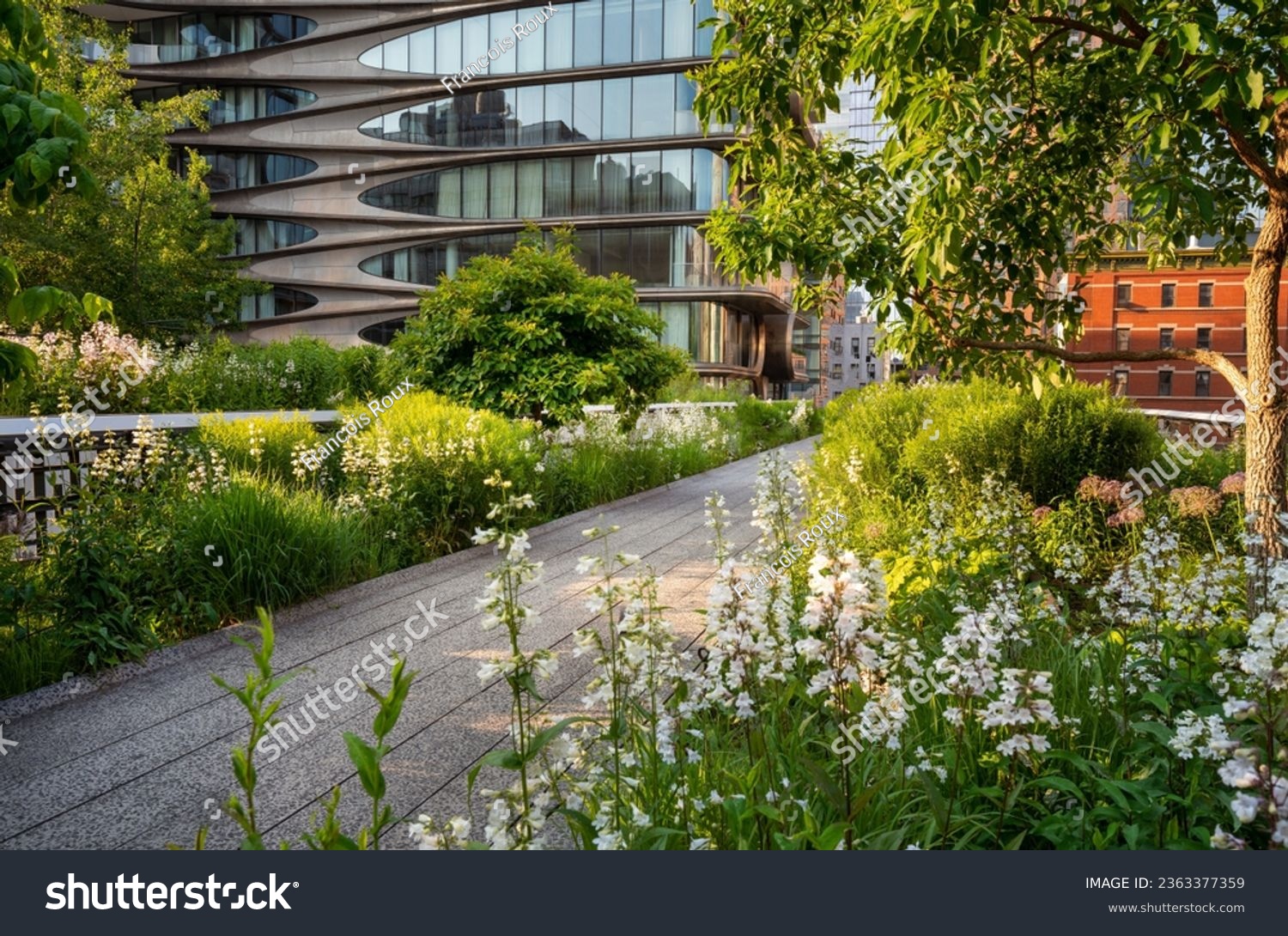 The High Line promenade in summer. Elevated greenway park in the heart of Chelsea, Manhattan. New York City #2363377359