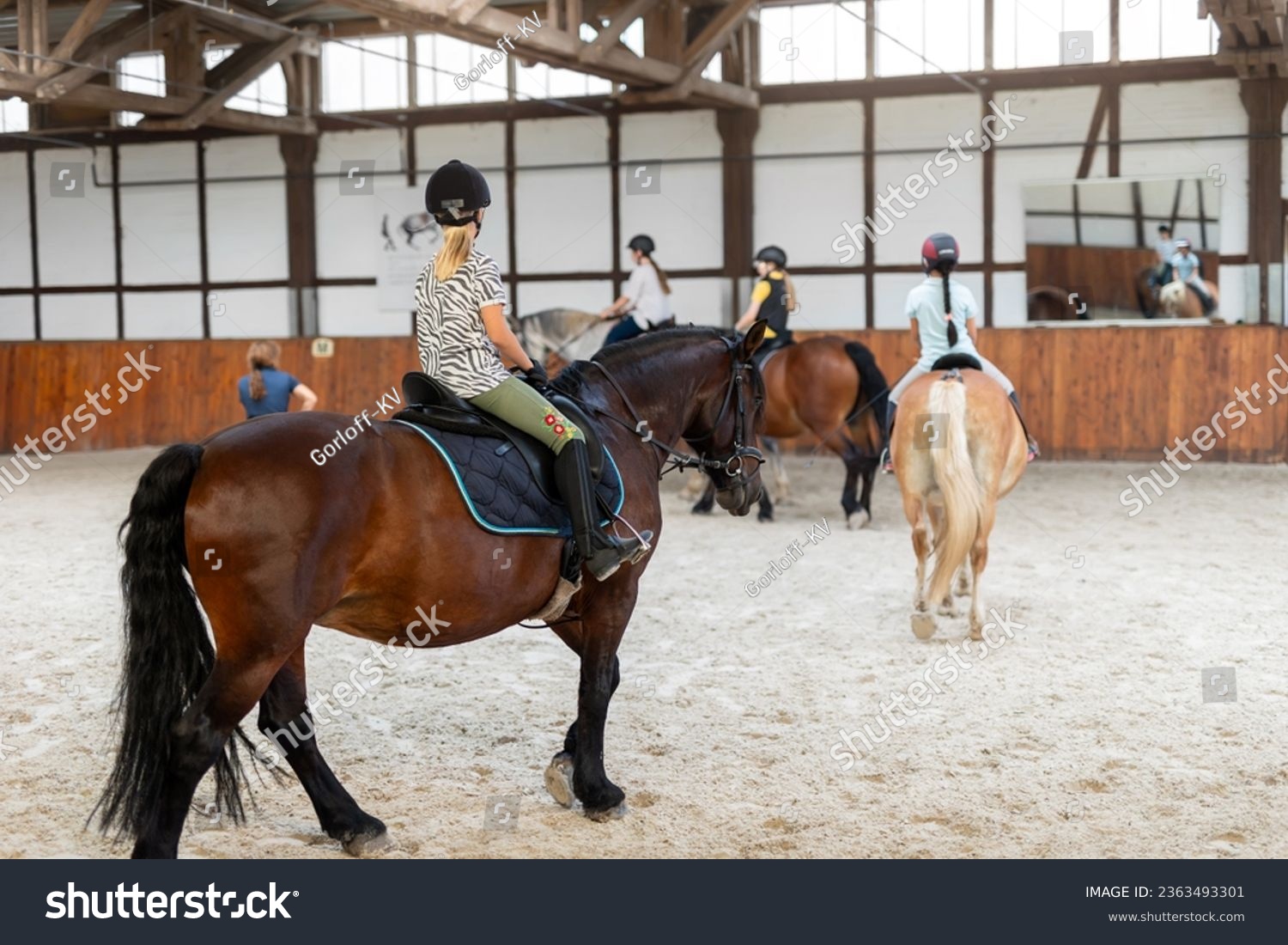 Horse riding school. Little children girls at group training equestrian lessons in indoor ranch horse riding hall. Cute little beginner blond girl kid in helmet sitting on brown horse horseback #2363493301