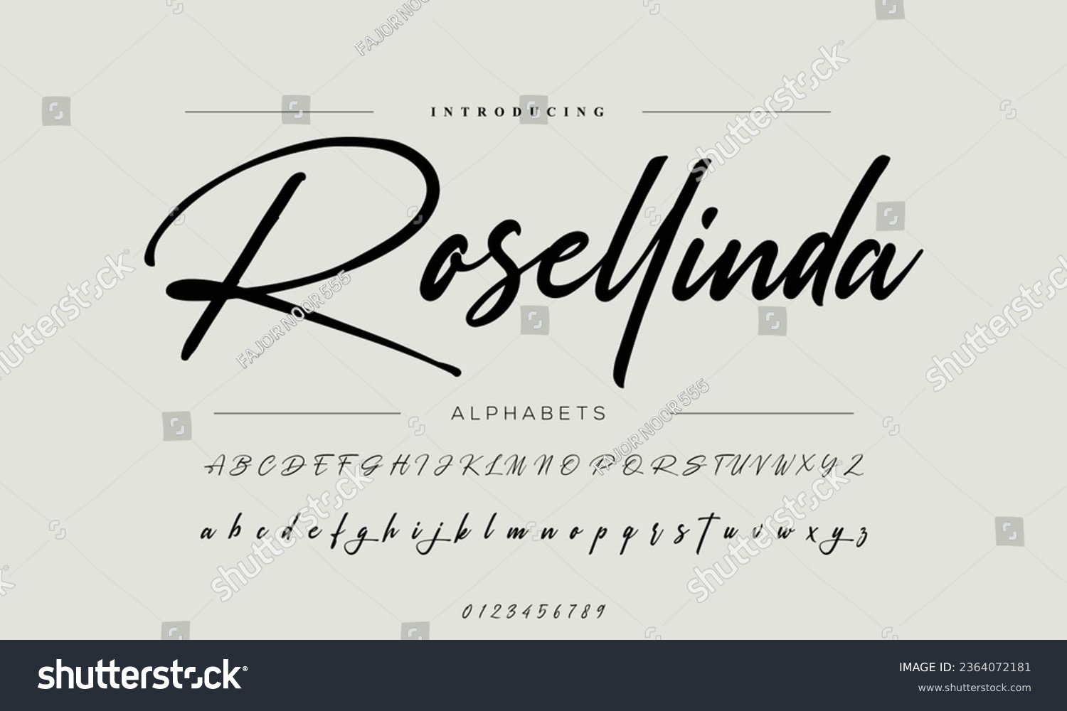 signature Font Calligraphy Logotype Script Brush Font Type Font lettering handwritten #2364072181