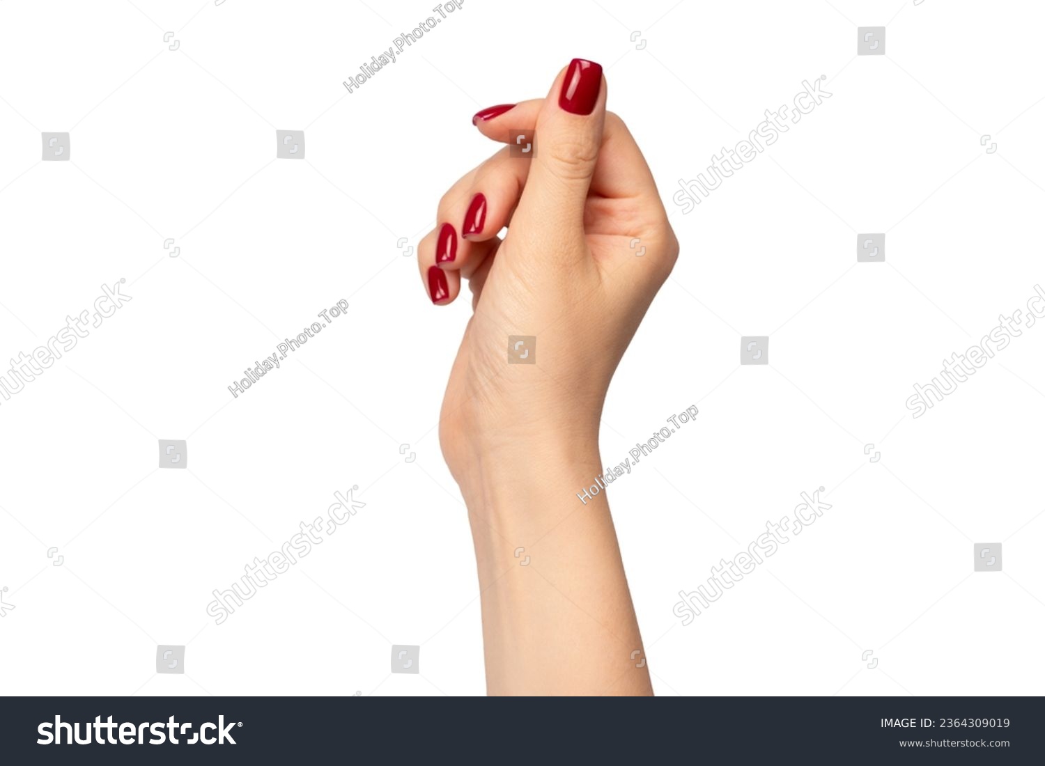 Woman hands with wine red color nails isolated on a white background. Red nail polish. Square nail form.  #2364309019