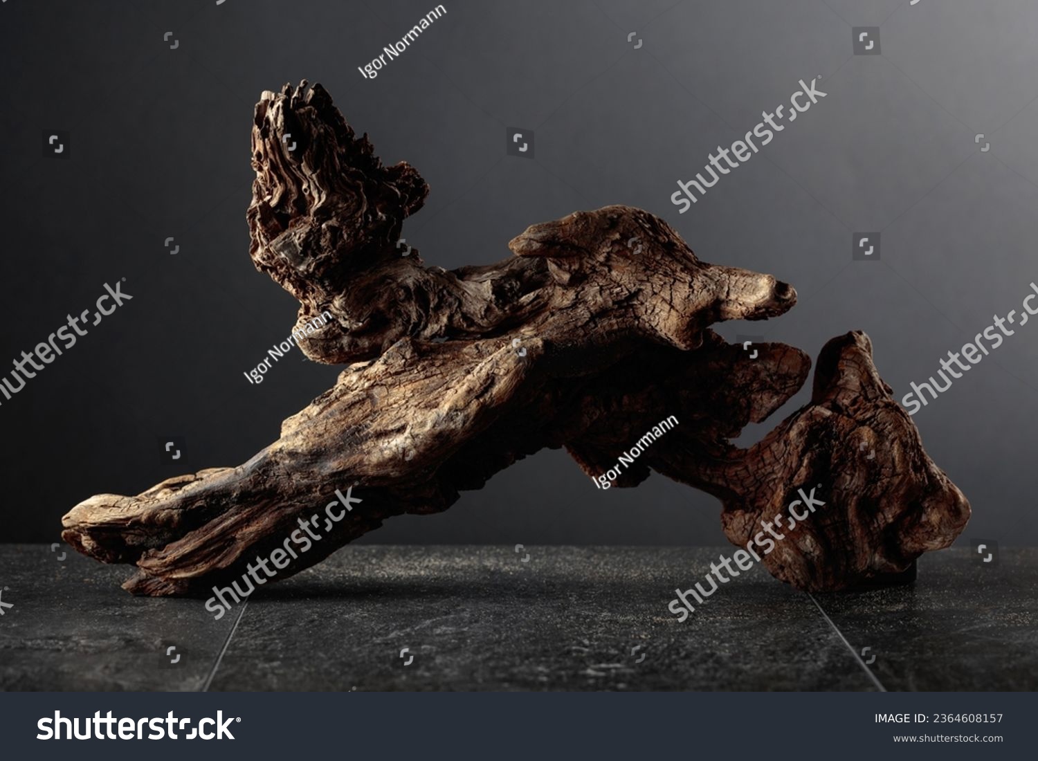 Old dry wooden snag on a black stone table. Black background with copy space. #2364608157