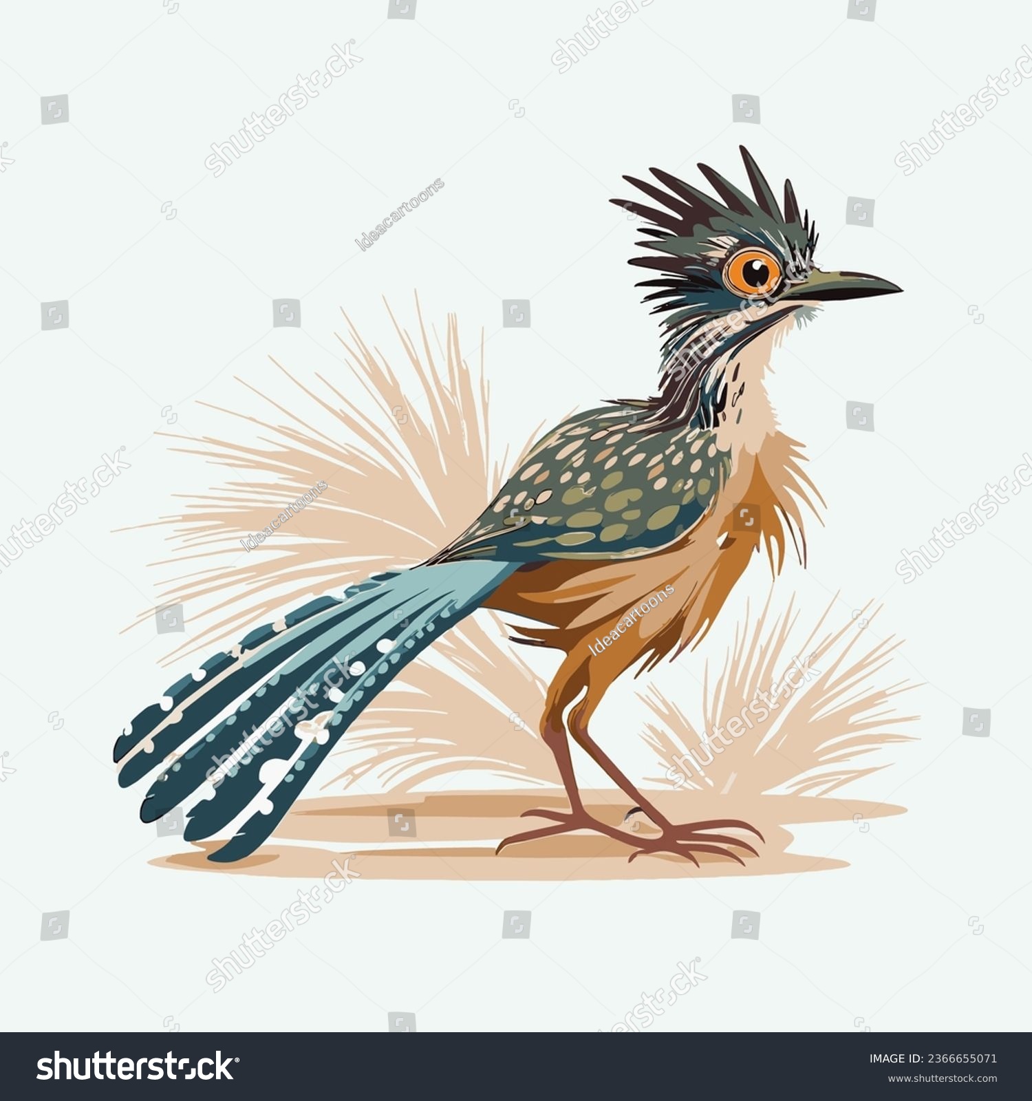 vector cute roadrunner bird cartoon style - Royalty Free Stock Vector ...