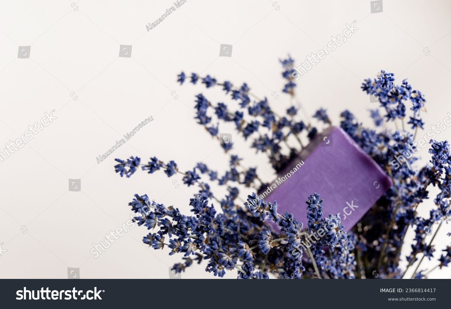 lavender handmade soap isolated on light background, on bed sheet with flowers and purple sack for sleeping improvement.soap on woman hand, woman holding bouquet.minimalist product photography. #2366814417