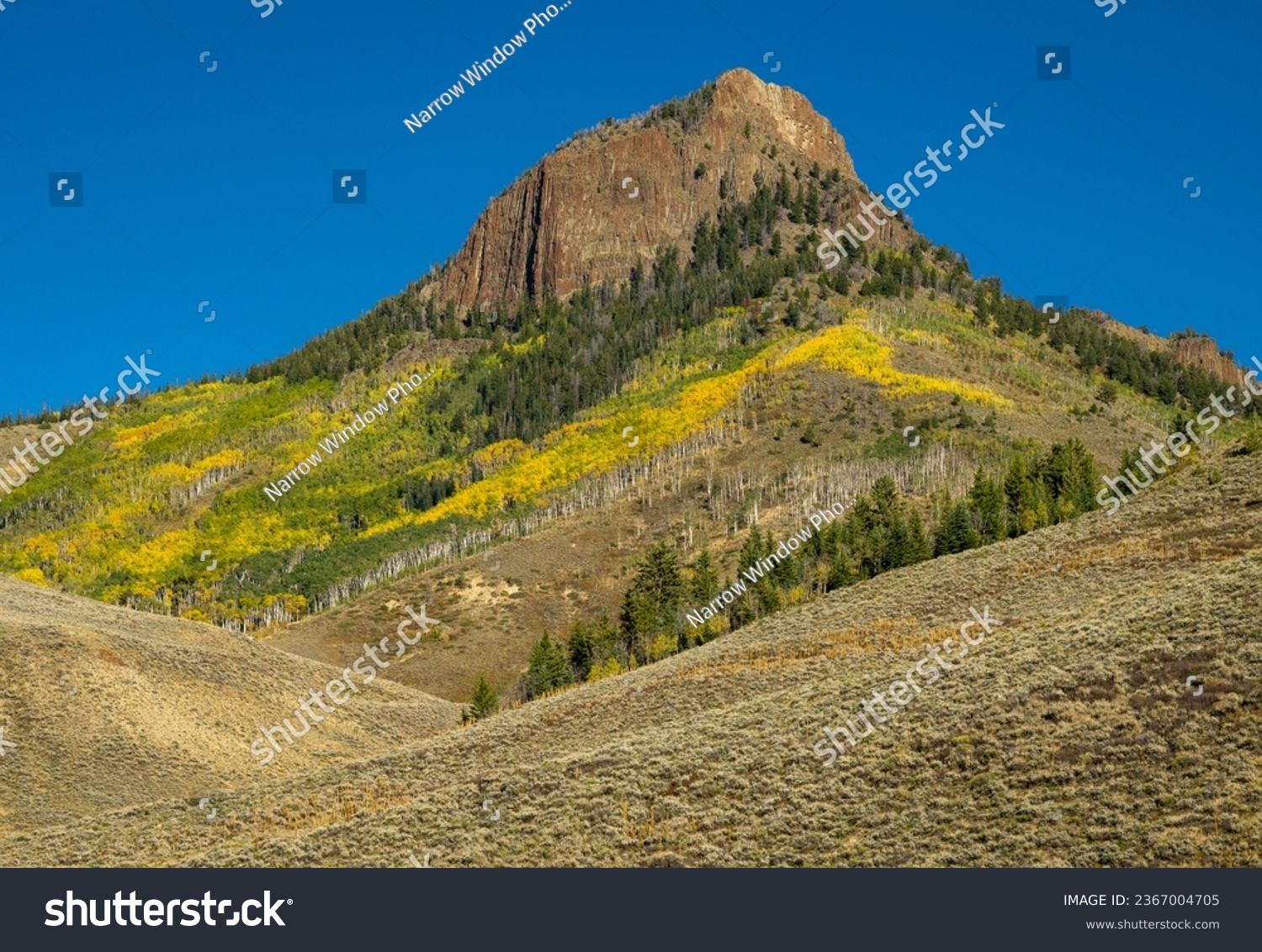 Fall foliage in Colorado High Country #2367004705
