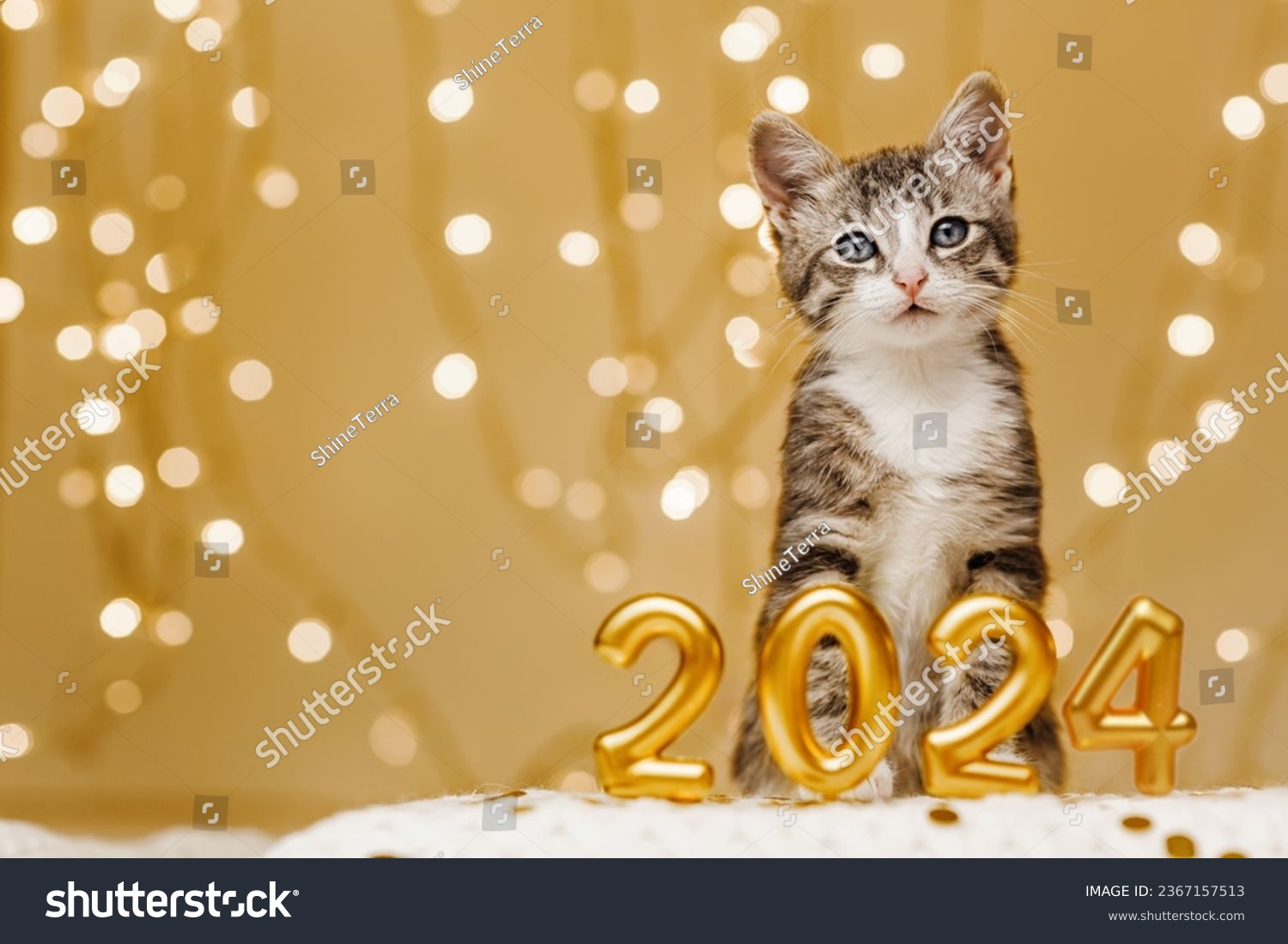 The kitten stands peacefully behind the inscription of the numbers of the upcoming new year 2024 on a light background of lights from garlands. #2367157513