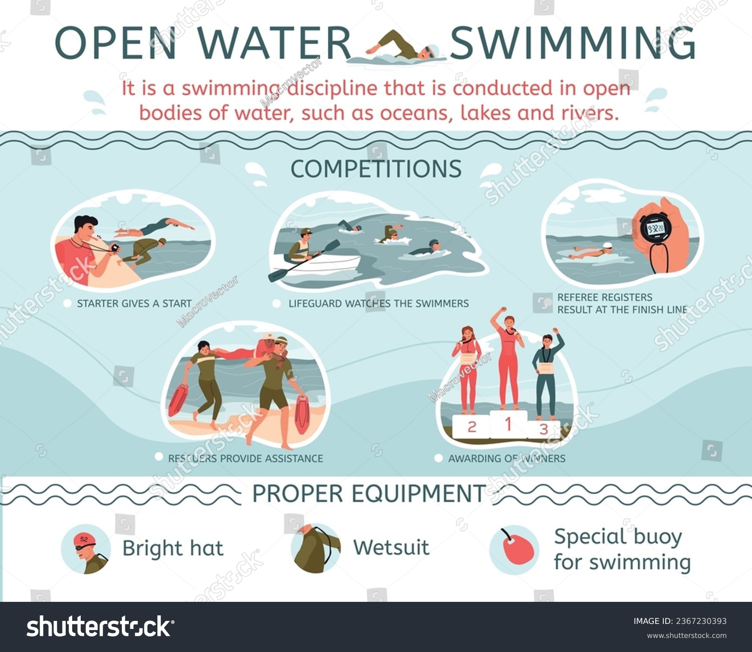 Swim open water flat infographic with type of - Royalty Free Stock ...