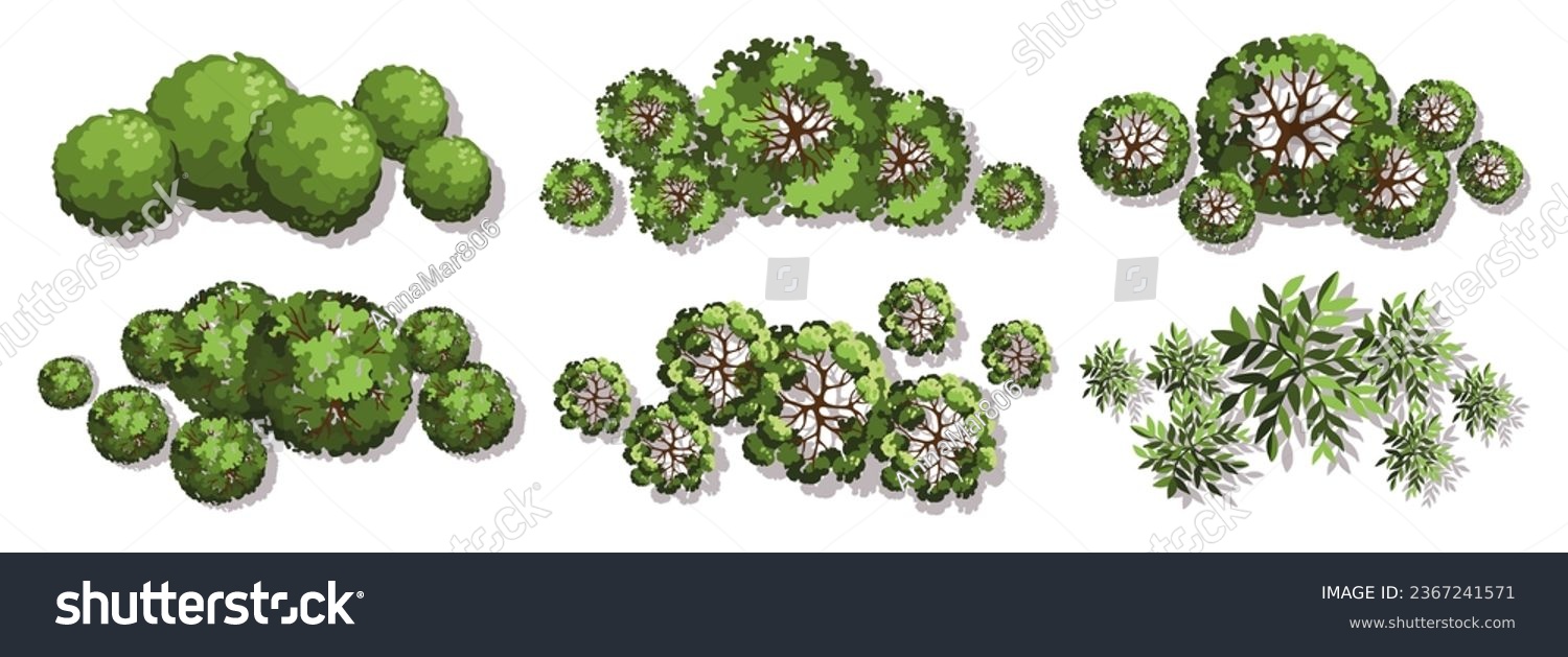 Tree for architectural floor plans. Entourage - Royalty Free Stock ...