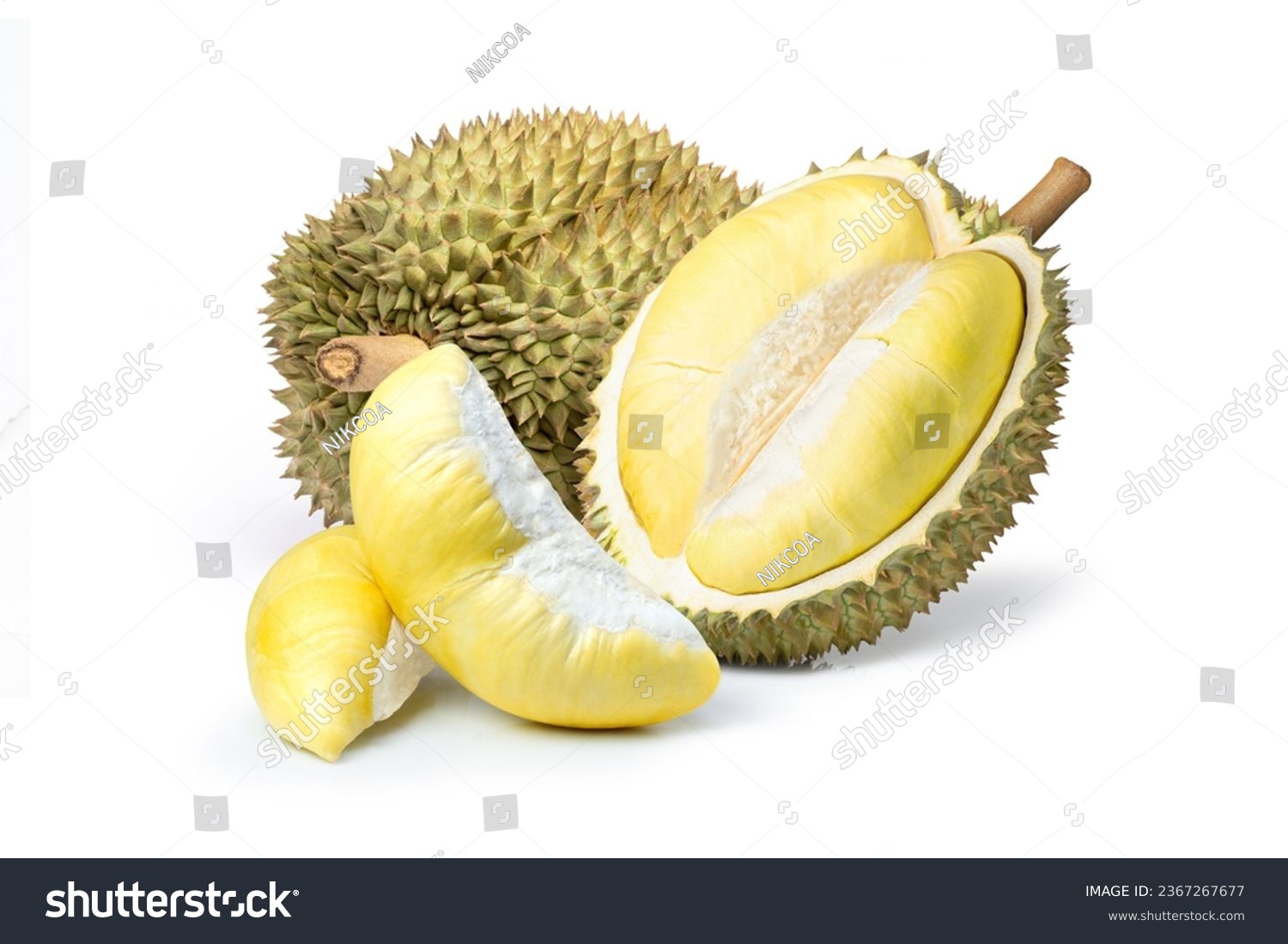 Durian fruit and ripe durian cut in half with pulp isolated on white background.  #2367267677