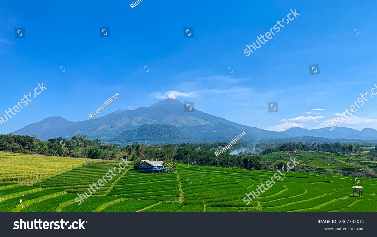 View of rice field and mountains at mojokerto, east java, indonesia #2367738011
