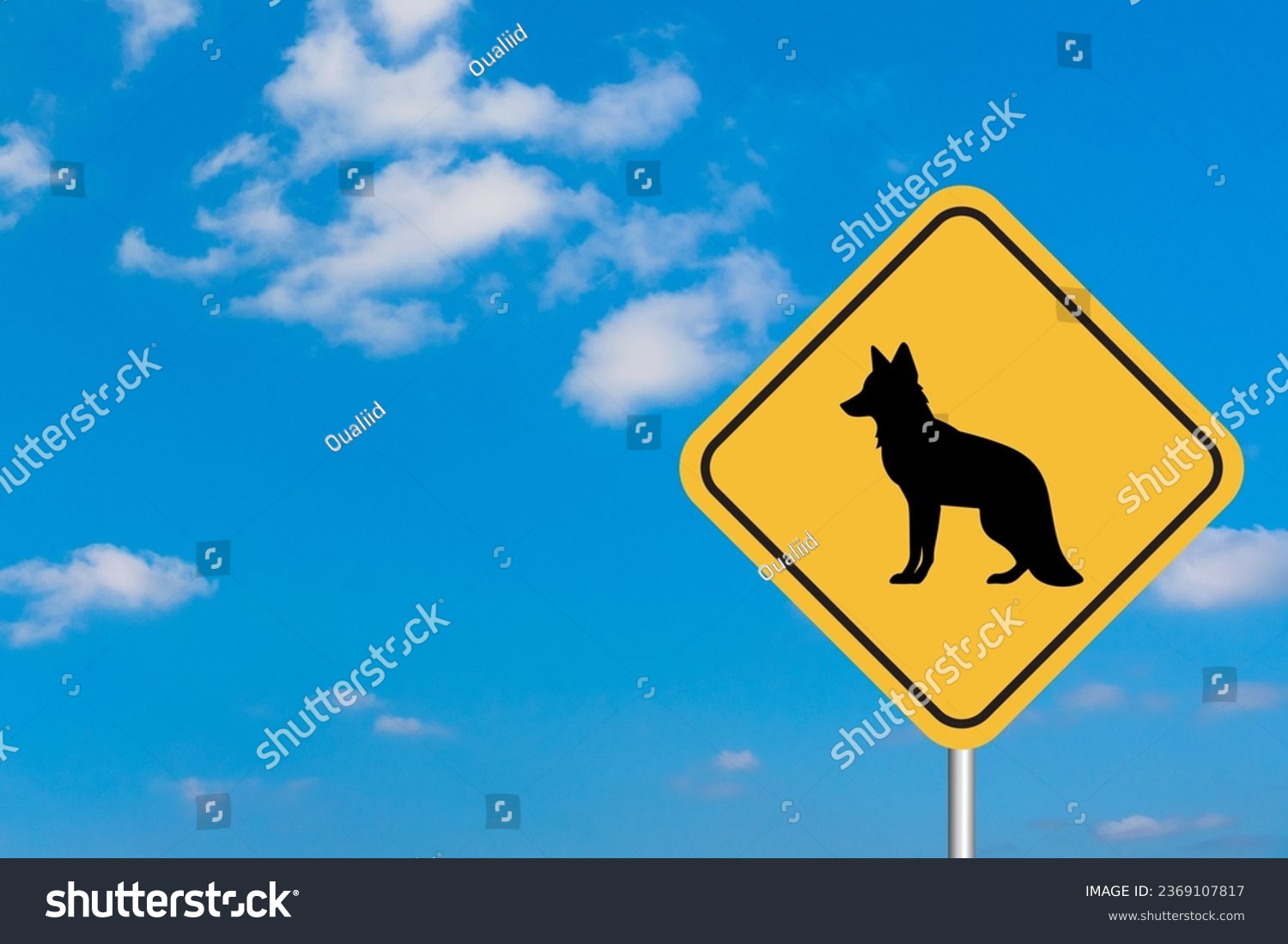 Coyote Sign with Sky Background #2369107817