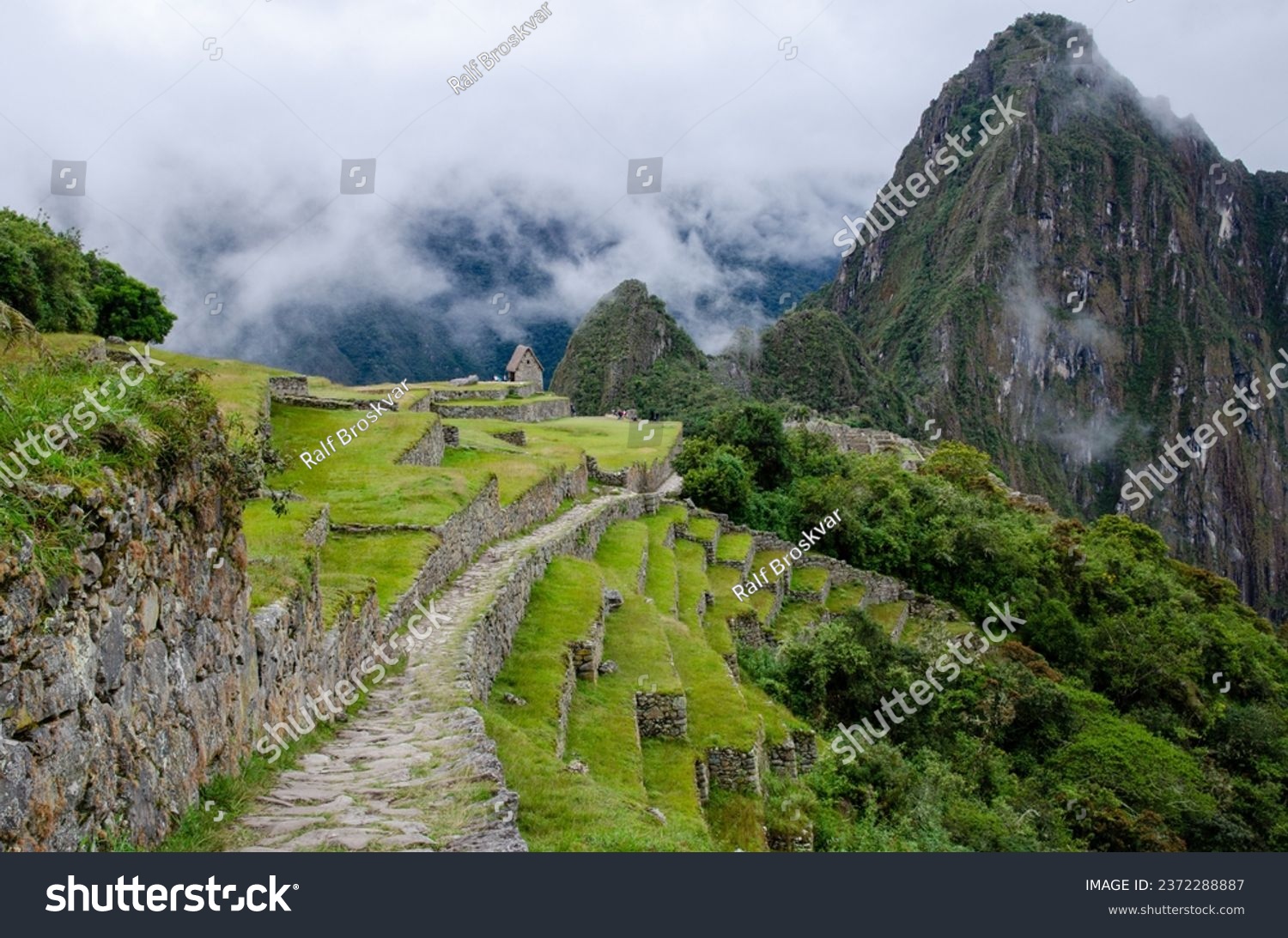 On the Inca Trail coming down from the Sun Gate (Inti Punku, elevation 2,745 m) to Machu Picchu, elevation 2,446 m. The caretaker's hut in the background marks the entrance to the Inca citadel below. #2372288887