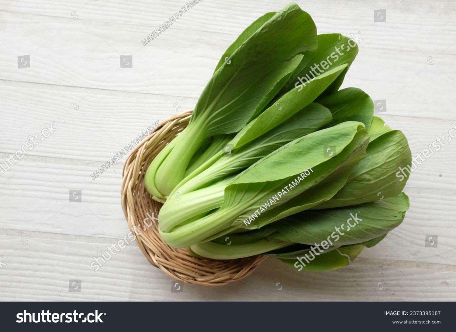 fresh and yummy green leaves Bok choy,Chinese cabbage,cantonese lettuce ,Bok Choy(Chinese cabbage) small choy sum,green pak choi, chinese chard (brassica rapa subsp. chinensis) in bamboo basket  #2373395187
